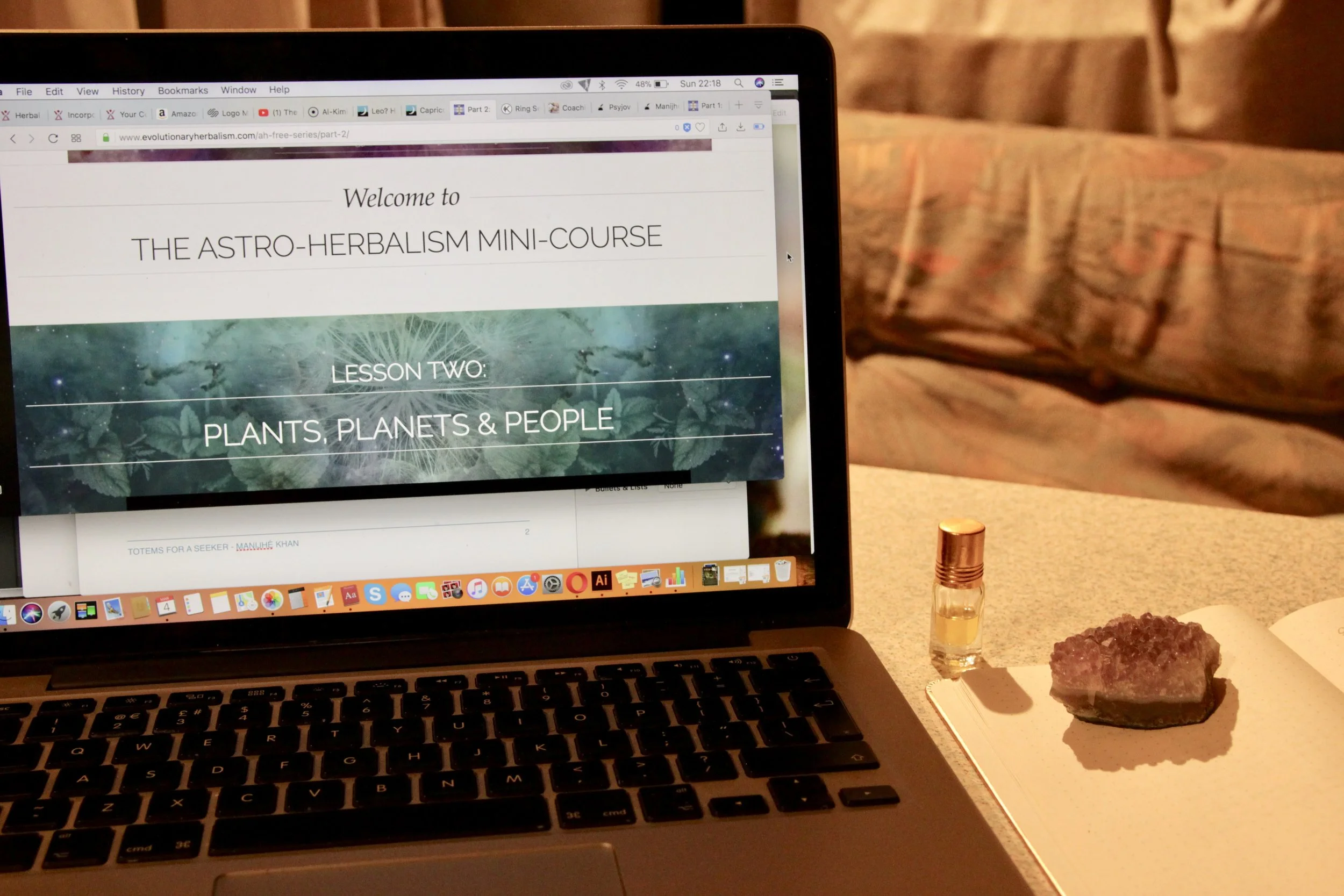 Sajah Popham's mini-course in Astro-Herbalism