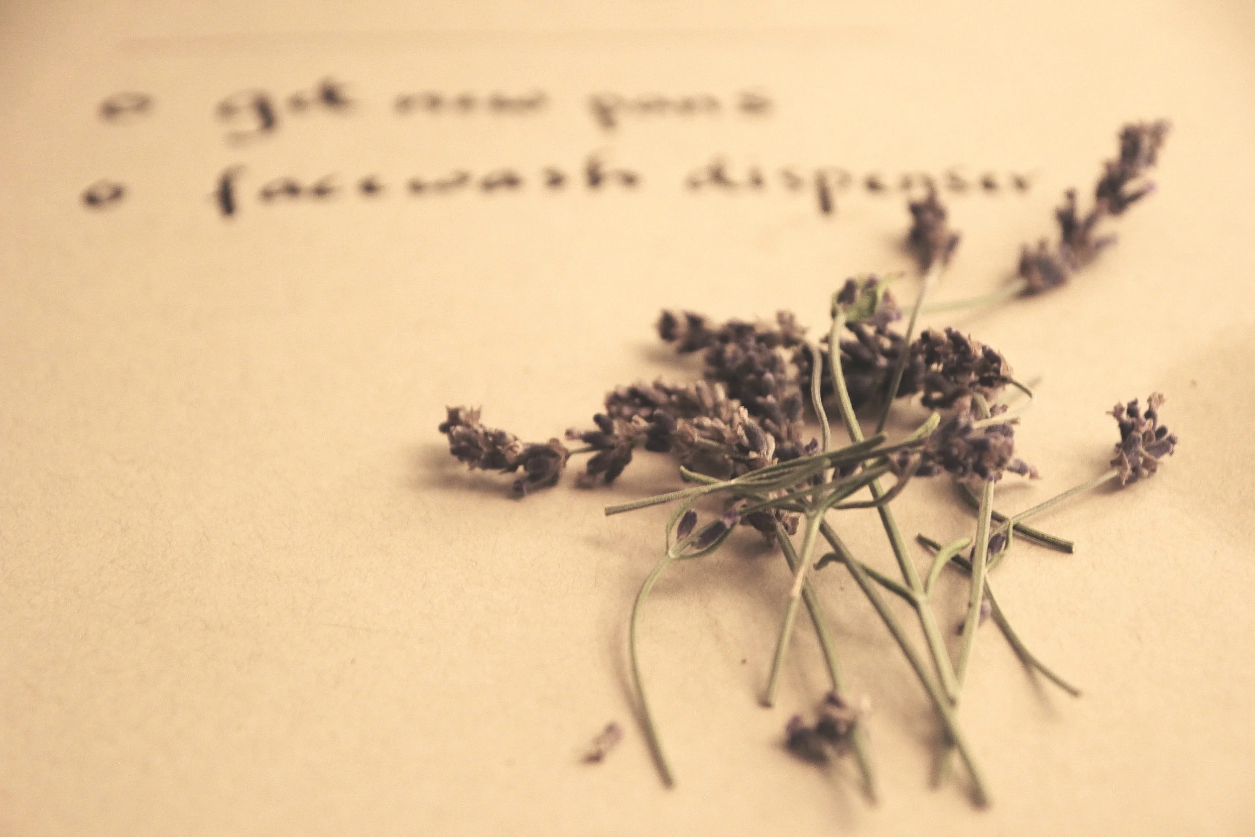 Lavender Aromatherapy: promotes stability and a sense of calm.