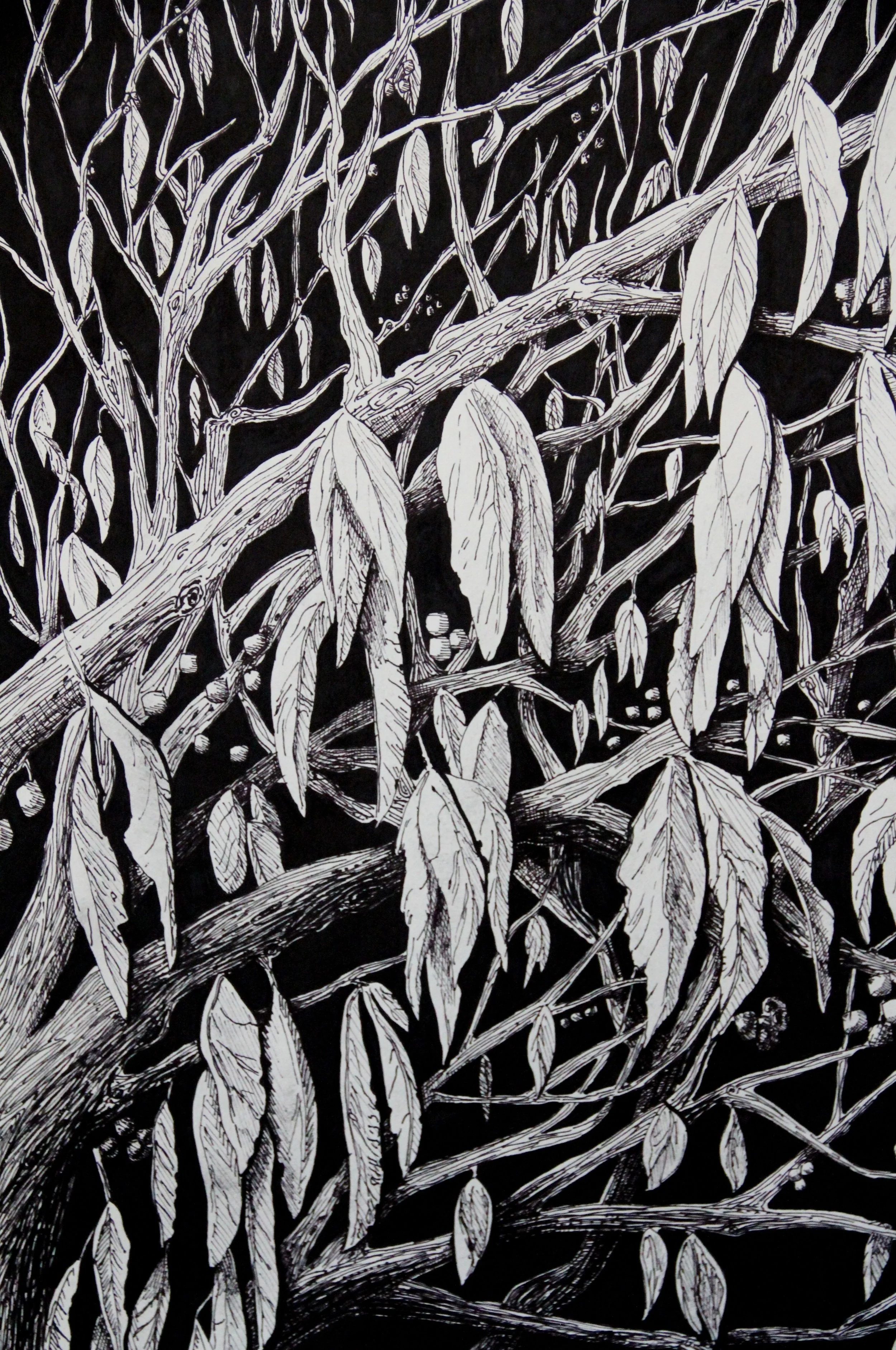  A Walk on Mom's Brick Path, 18 inches x 24 inches, Ink on Paper, 2011 