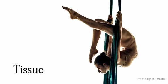 Silks Banner.jpg