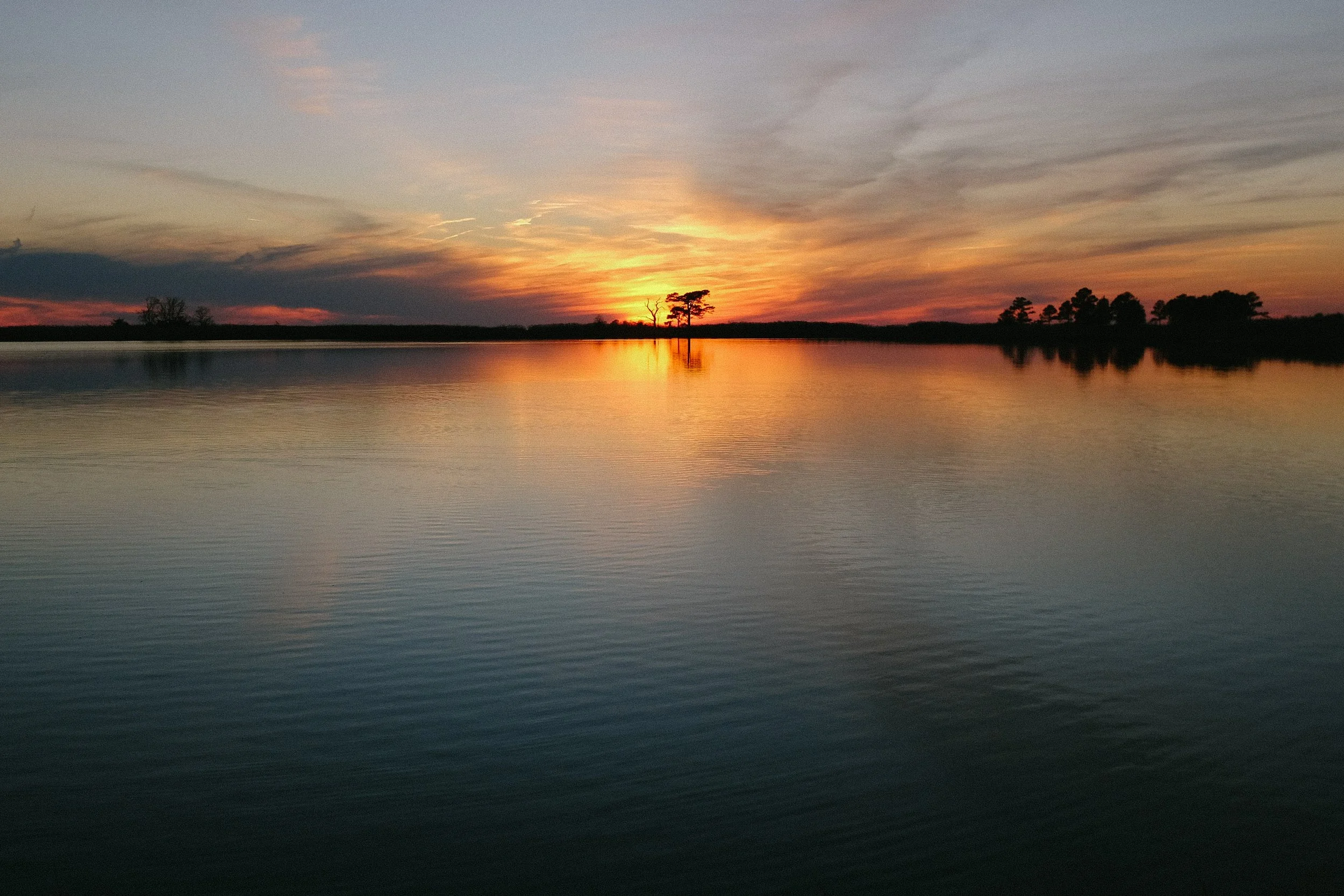 DSCF0445.jpg