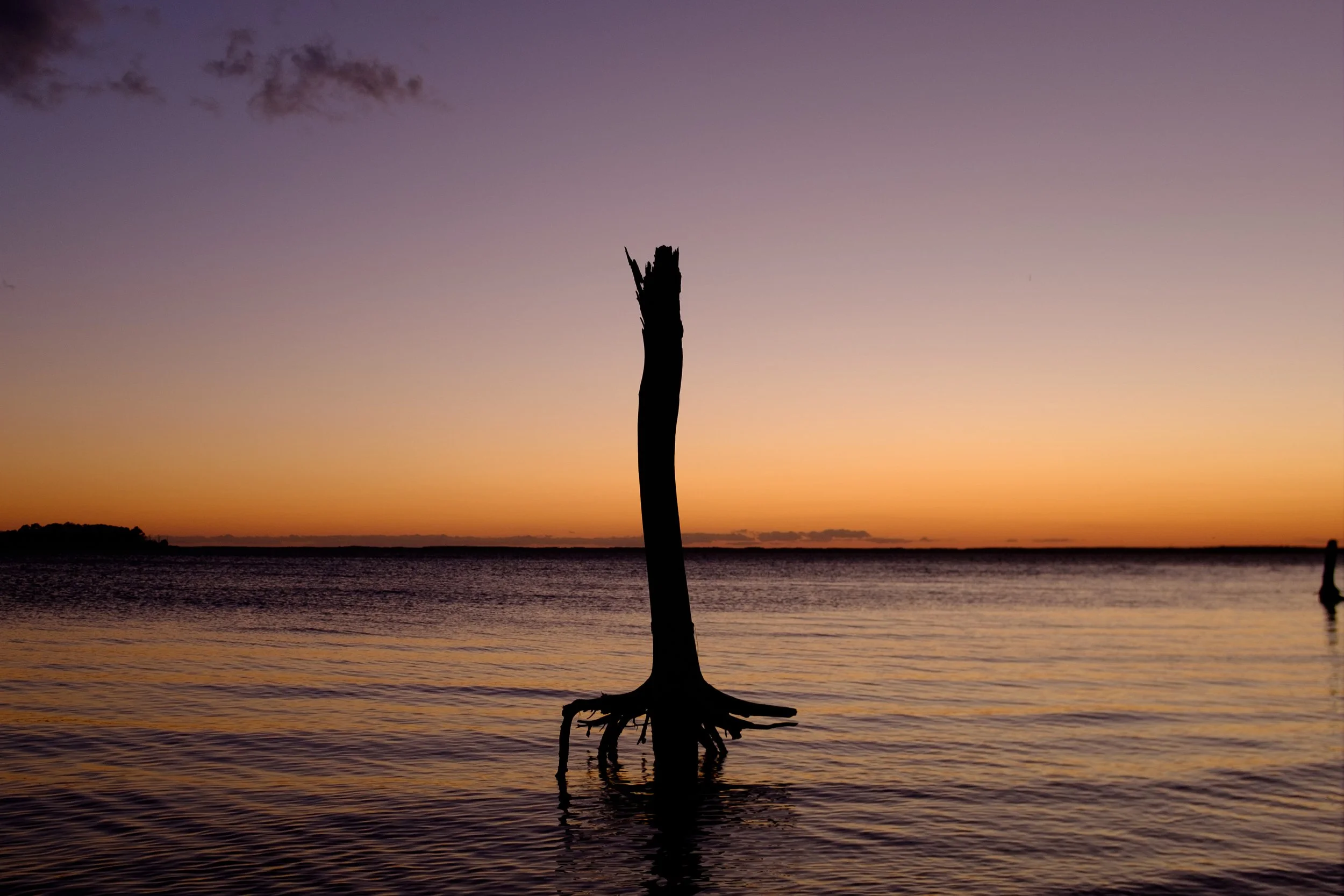 DSCF2407.jpg