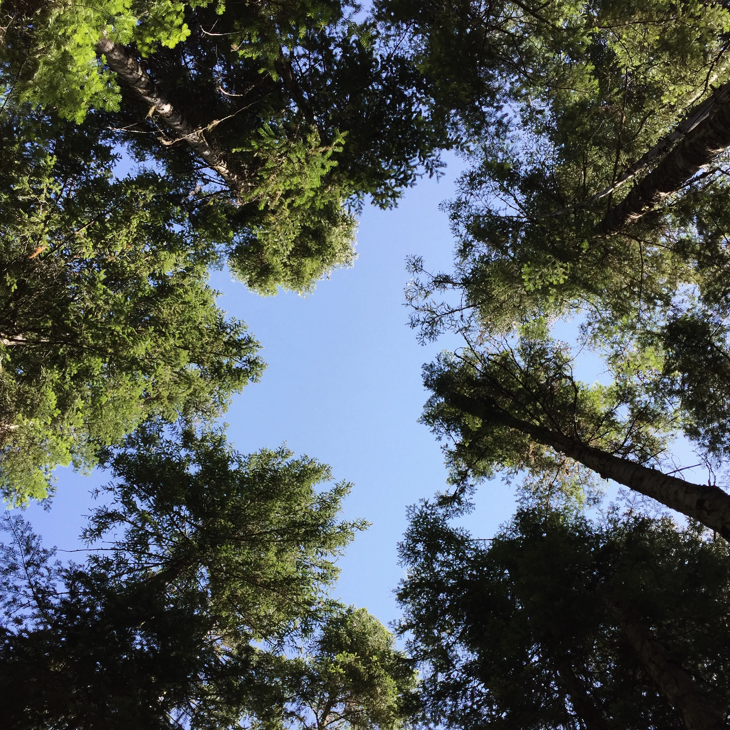 Leavenworth, WA - July 2016