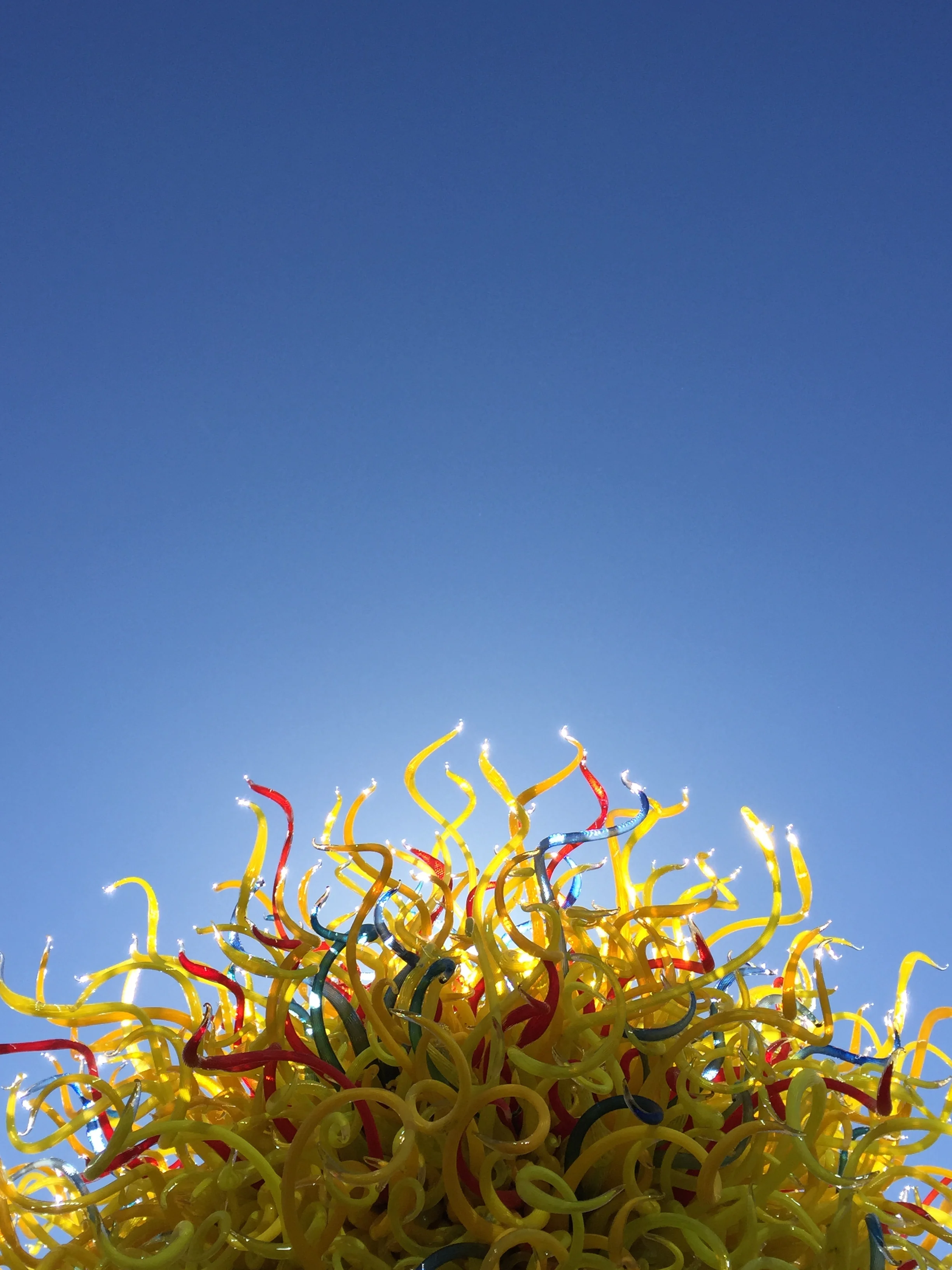 Seattle, WA - February 2015