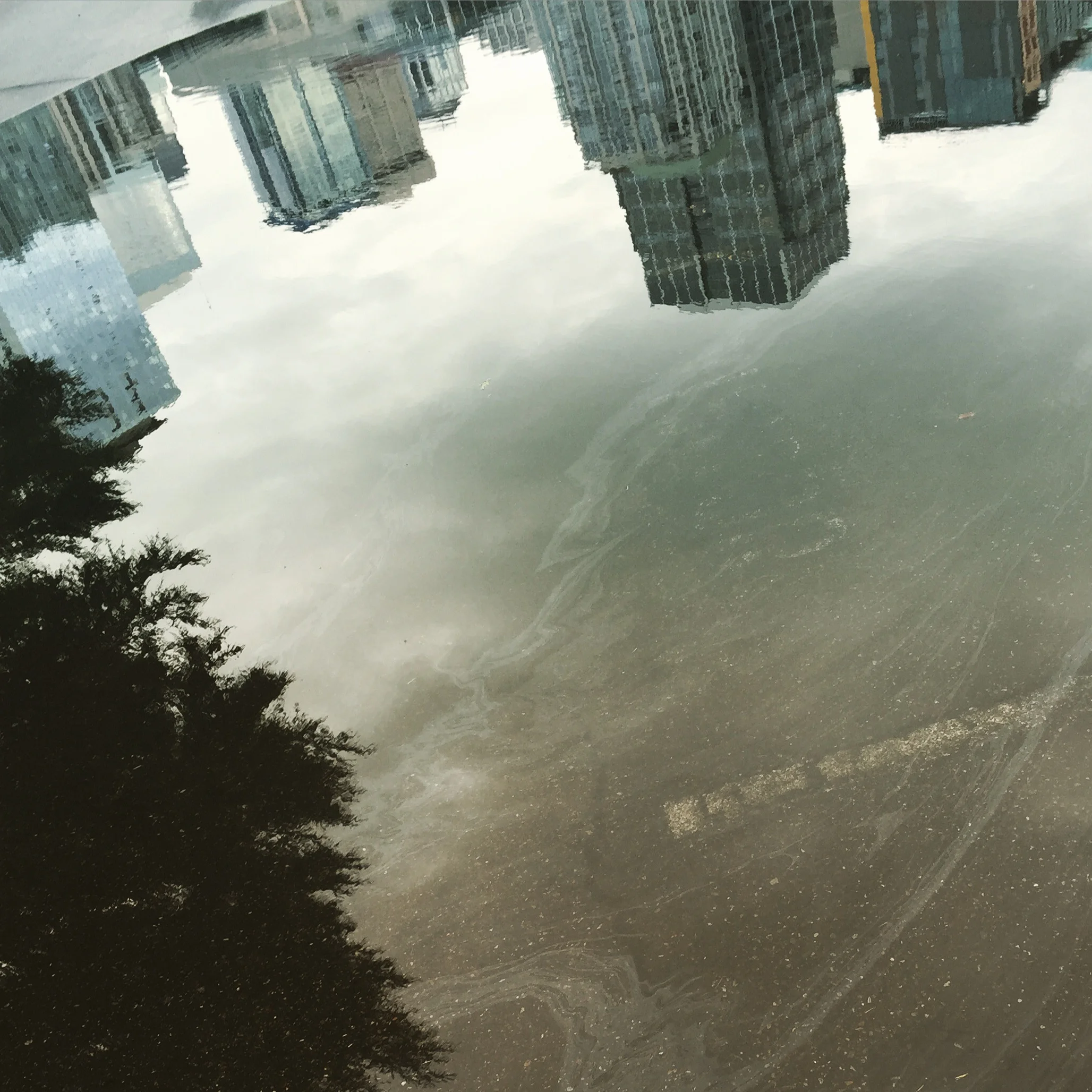 Seattle, WA - March 2015