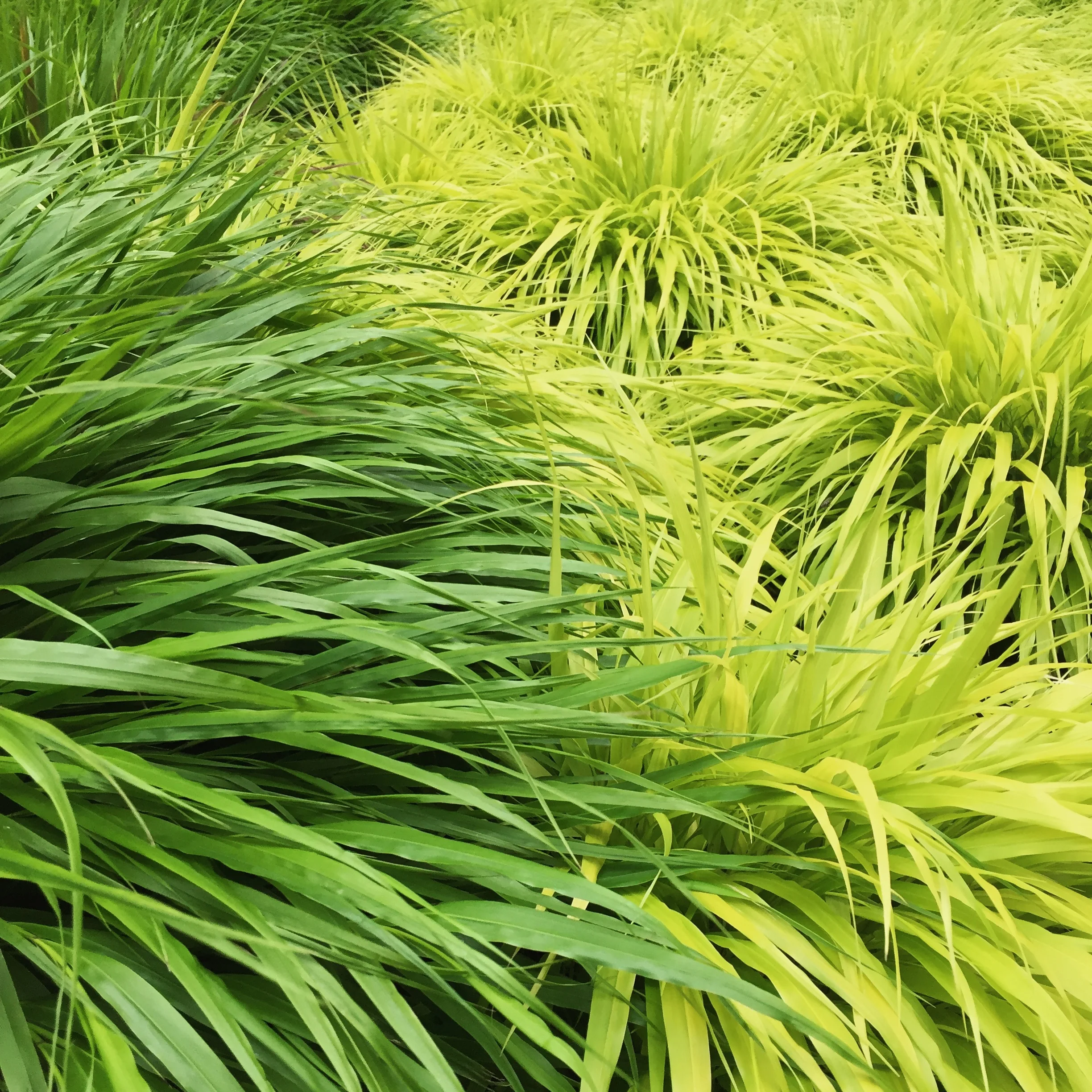 Seattle, WA - May 2017