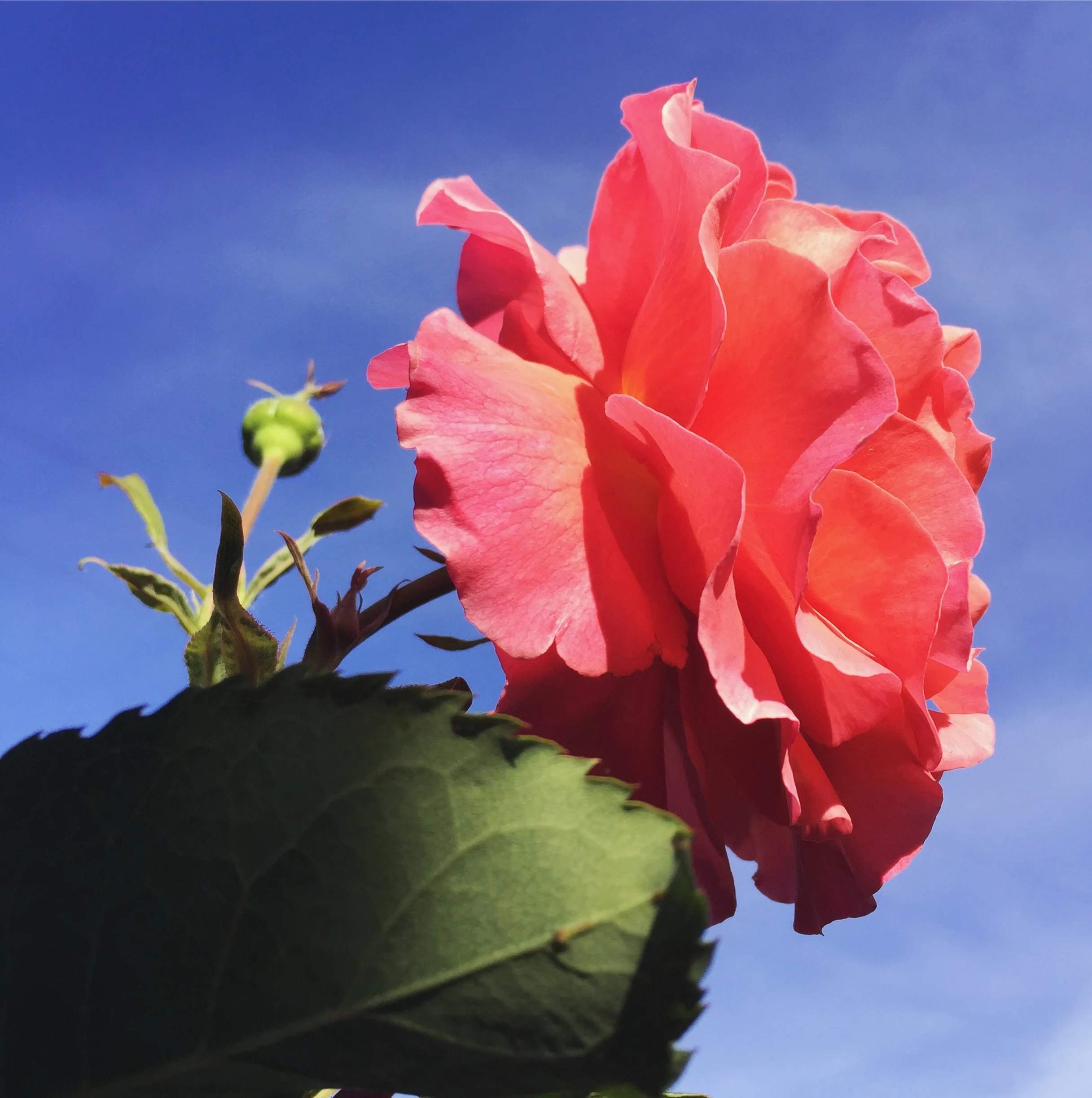 Seattle, WA - June 2017