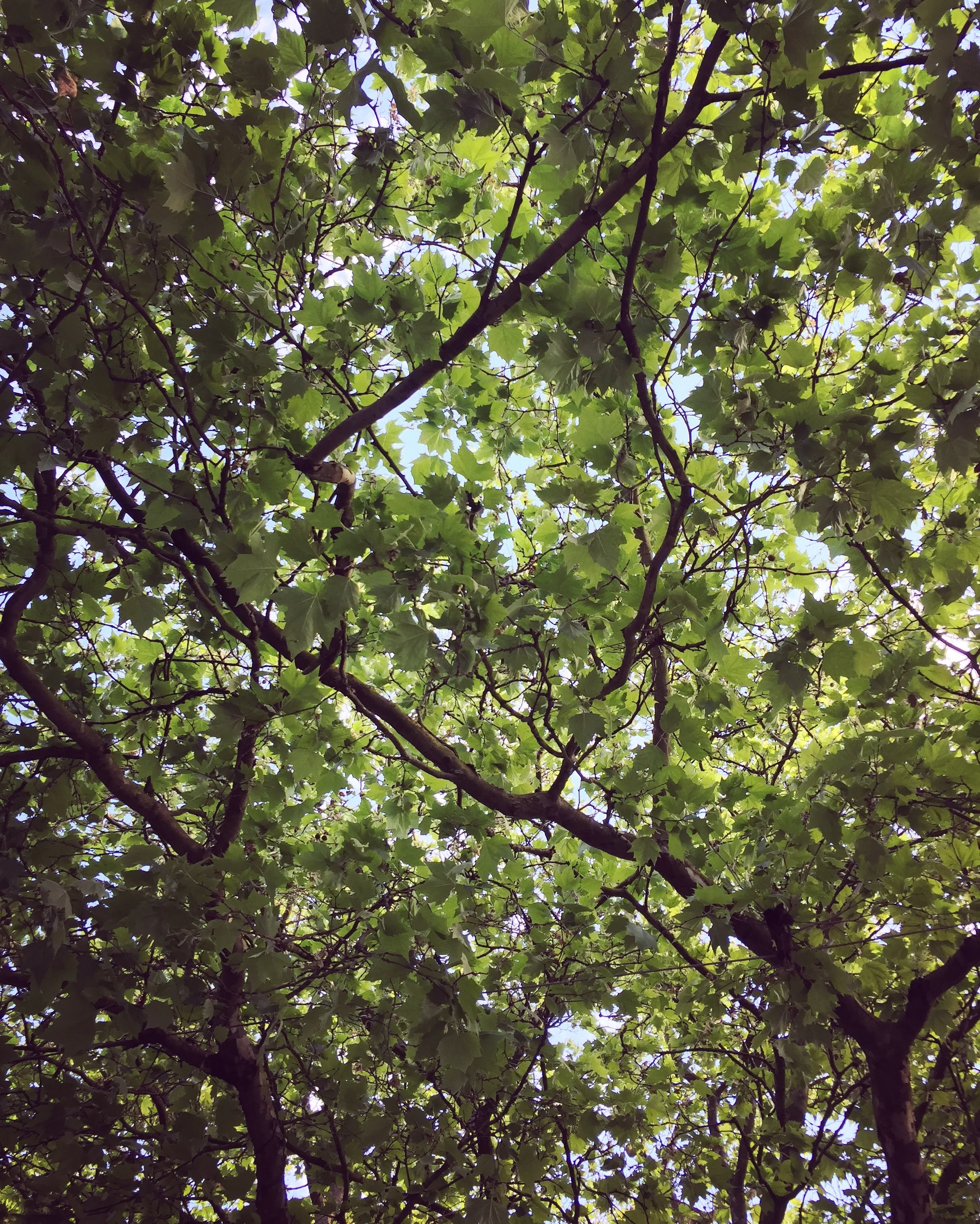 Seattle, WA - June 2017