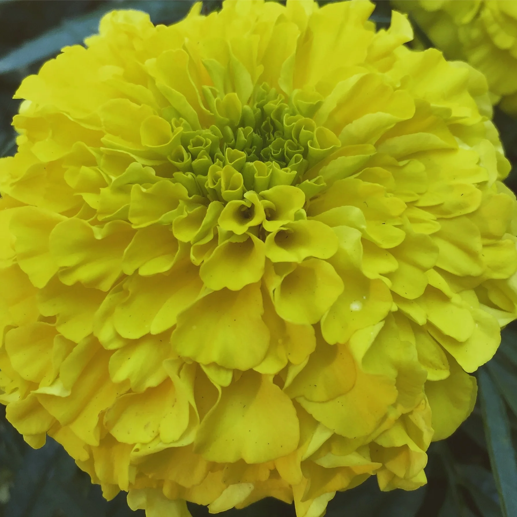 Seattle, WA - July 2017