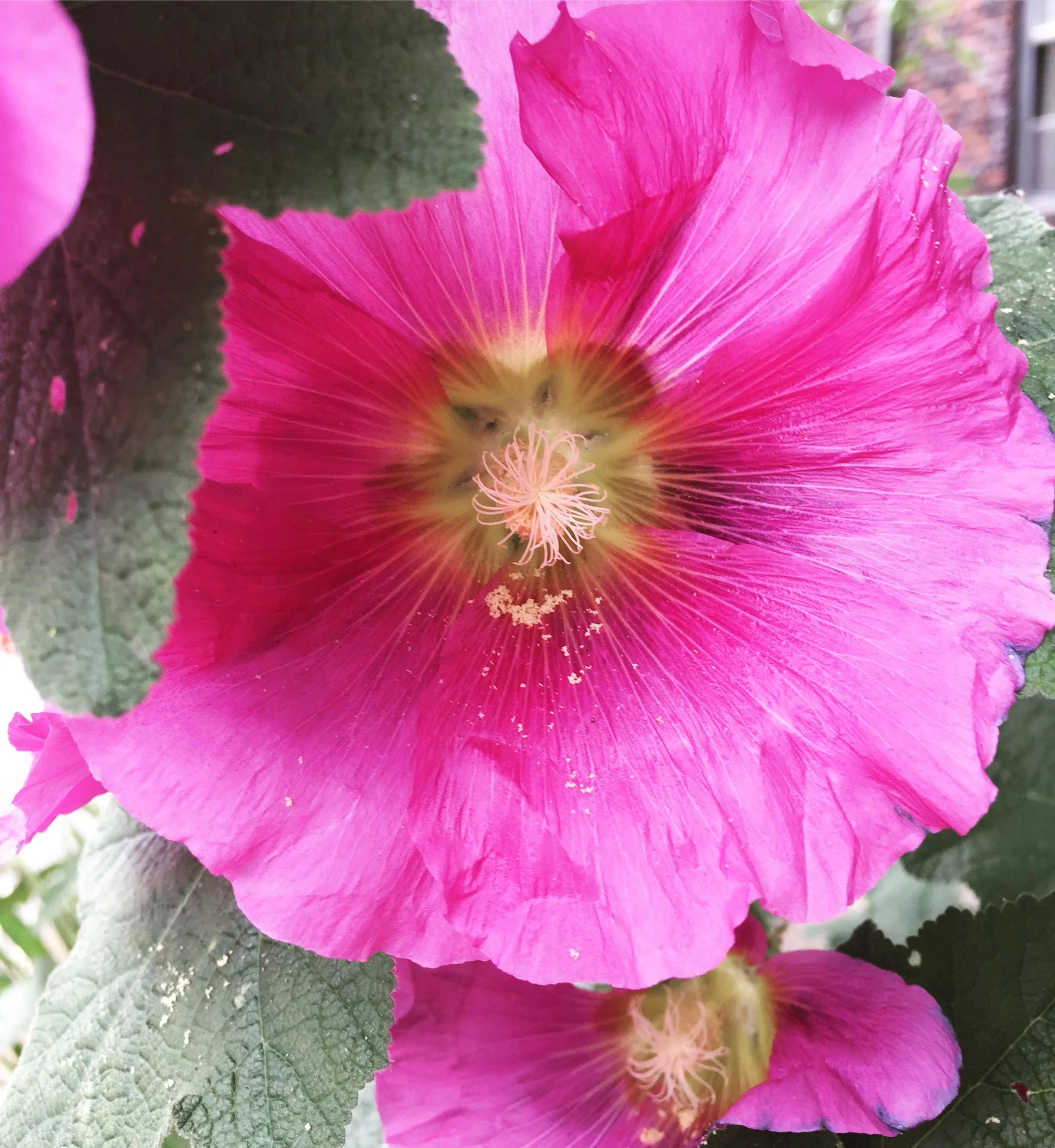 Seattle, WA - July 2017