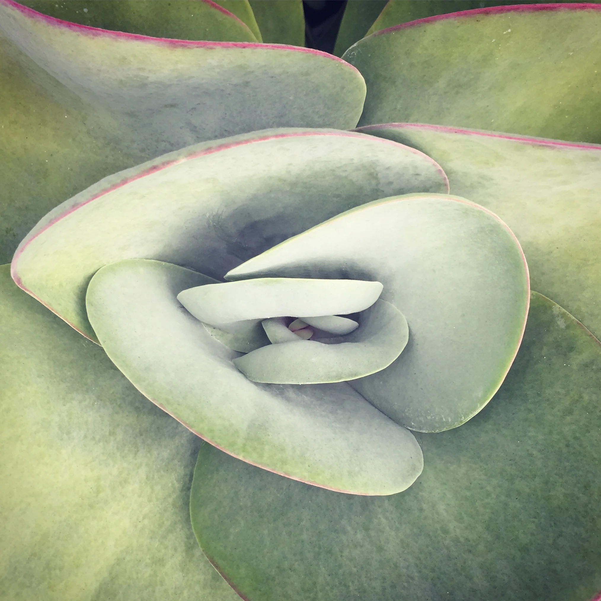 Santa Monica, CA - September 2017