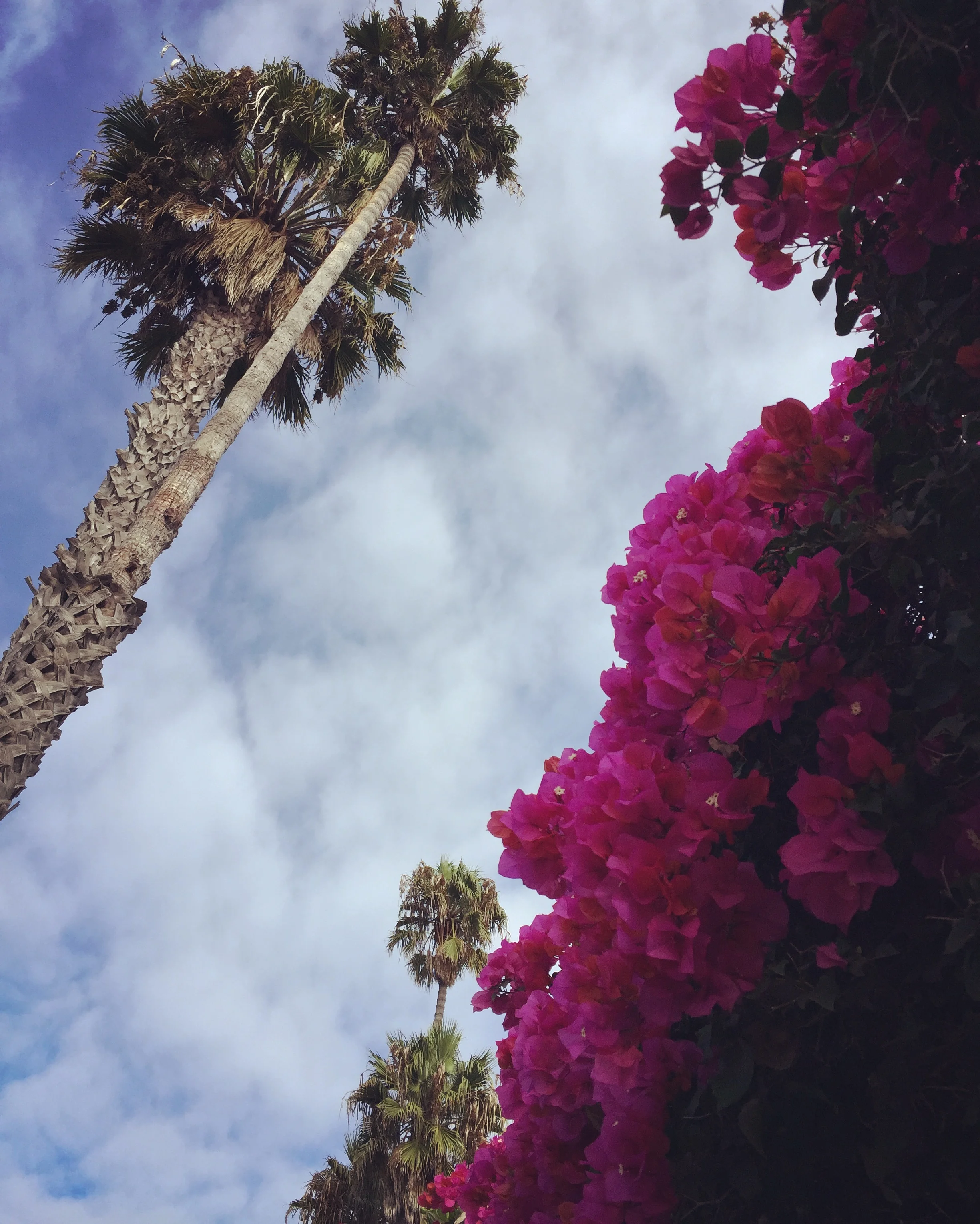 Santa Monica, CA - September 2017