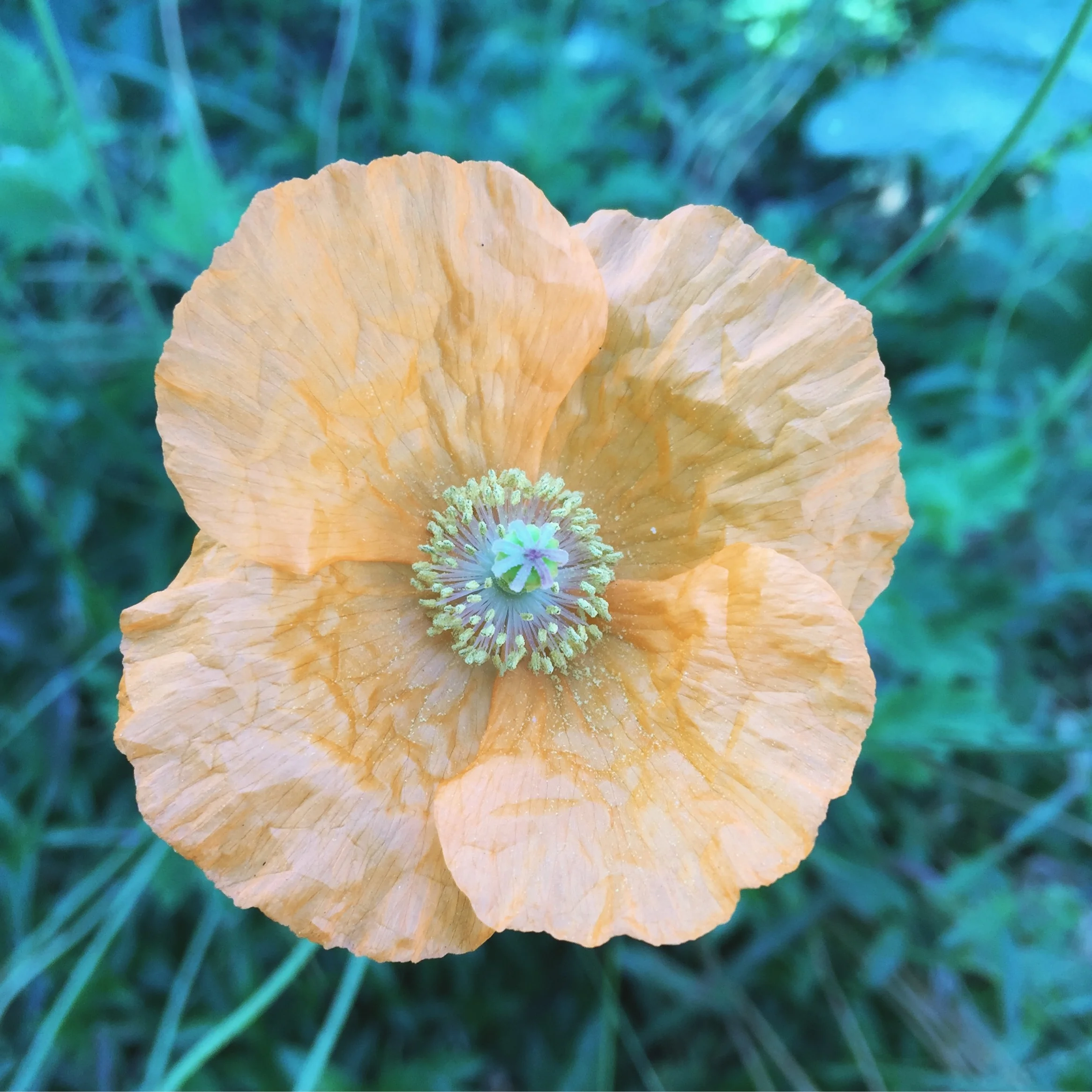 Seattle, WA - October 2017