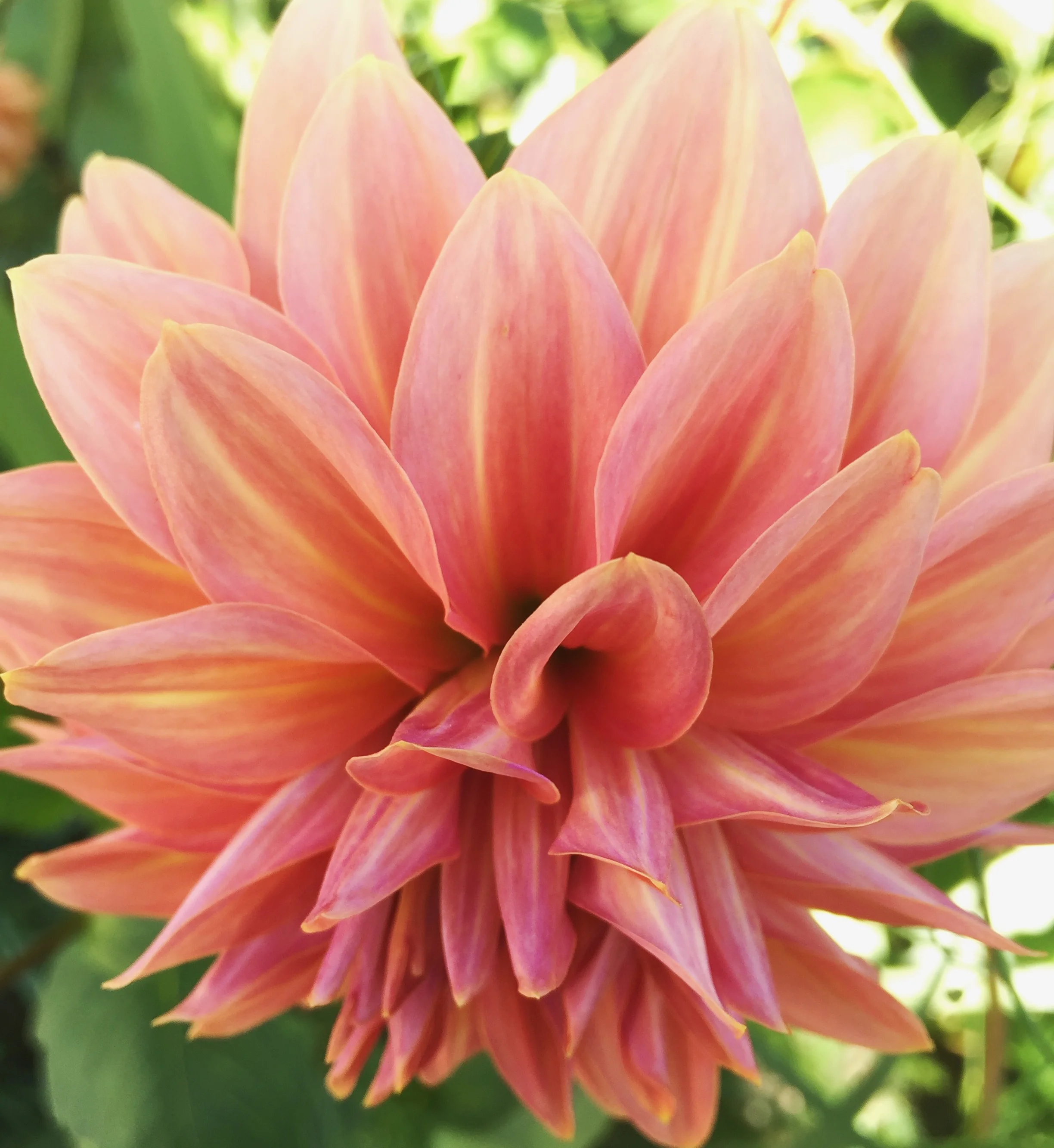 Seattle, WA - October 2017