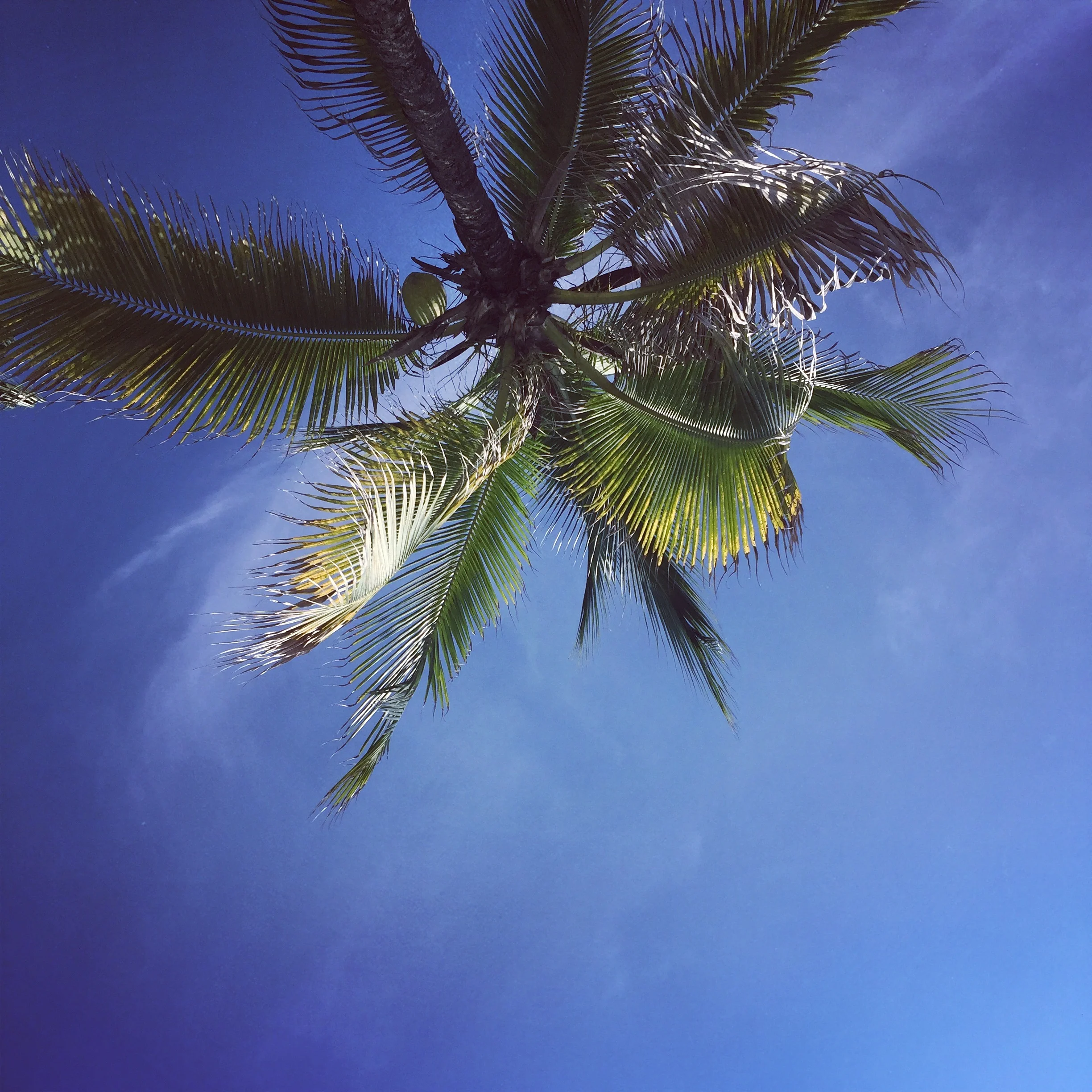 Nuevo Vallarta, Nayarit, Mexico - September 2017