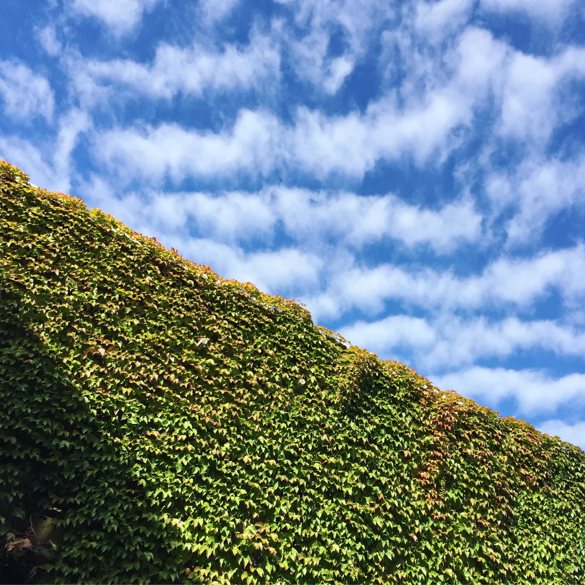 Seattle, WA - October 2017