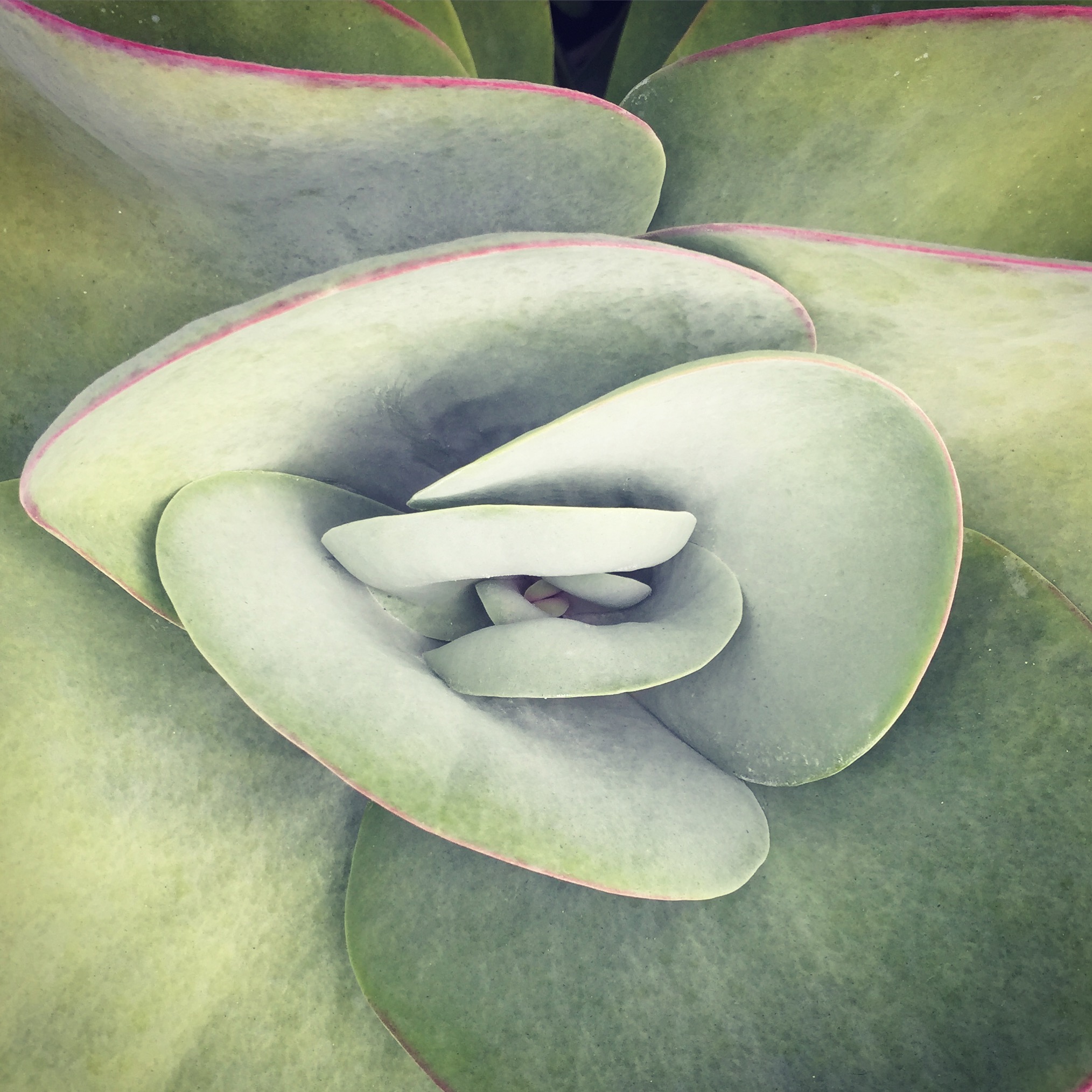 Santa Monica, CA - September 2017