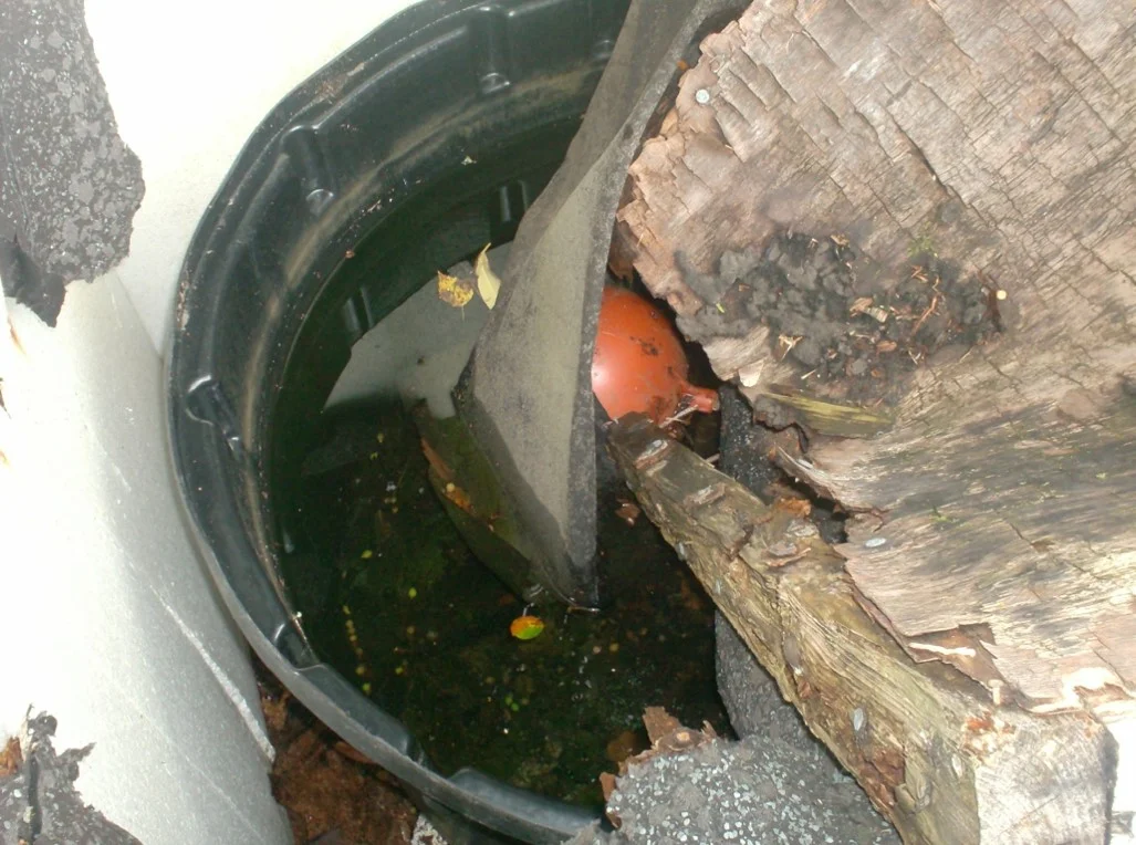 Previously undetected water tank. Contaminated water from this tank was found to supply drinking water and showers!