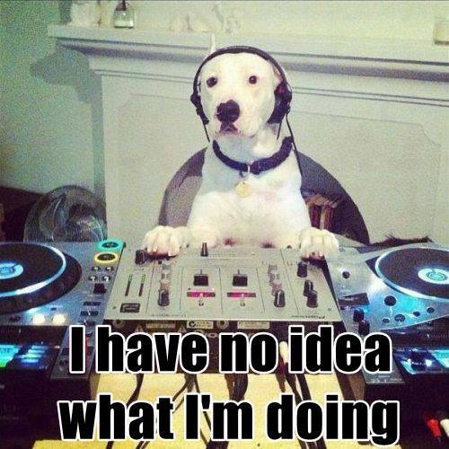 Some DJ's aren't worth throwing a bone. Do your research and ask the right questions.