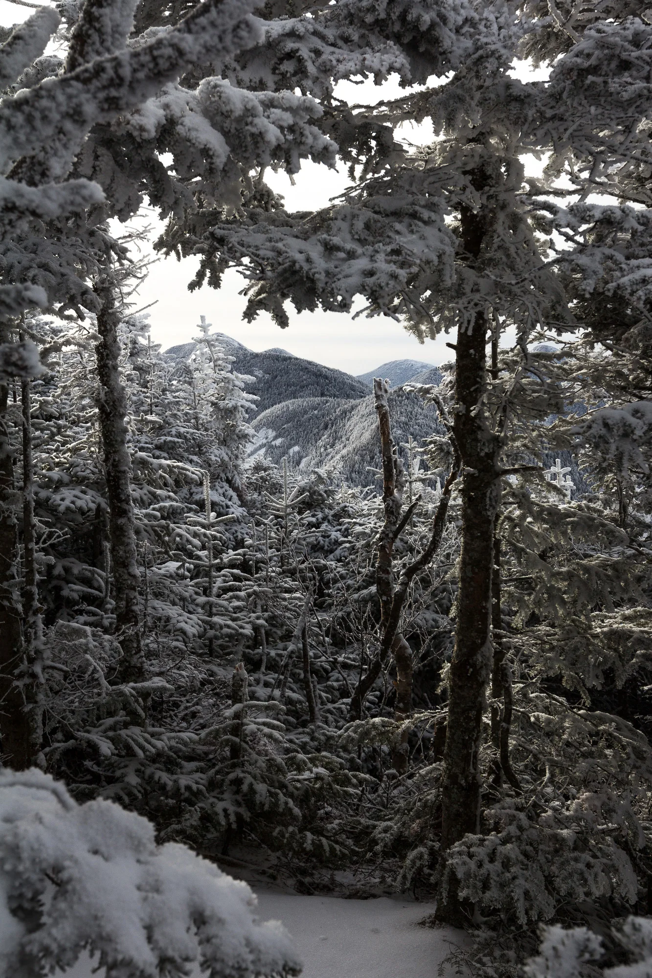 Lower Wolfjaw | Winter 2015