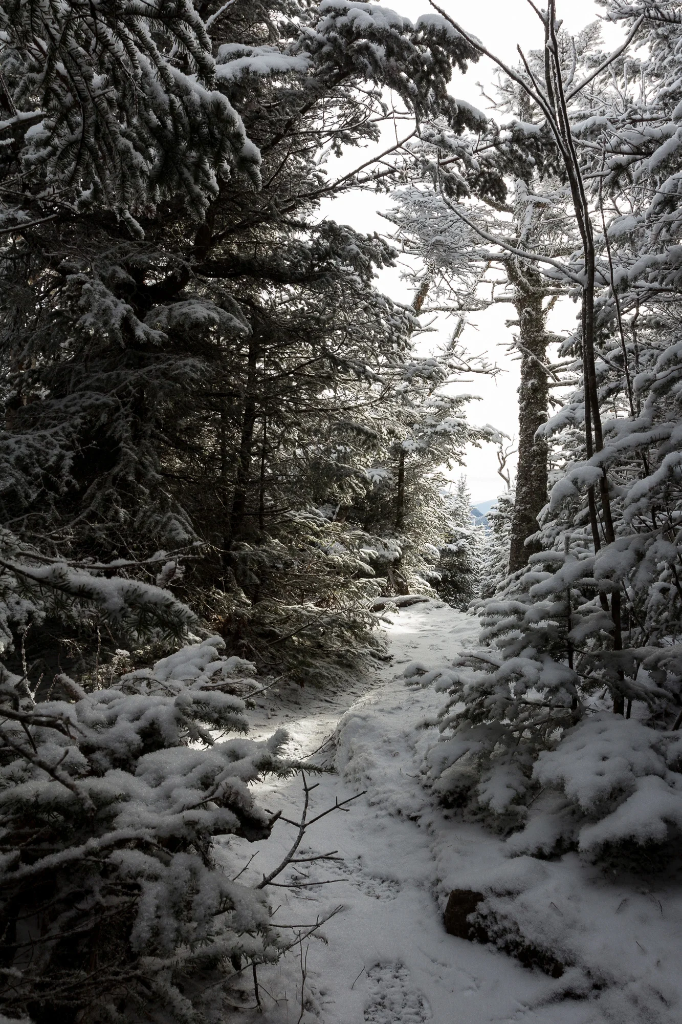 Lower Wolfjaw | Winter 2015