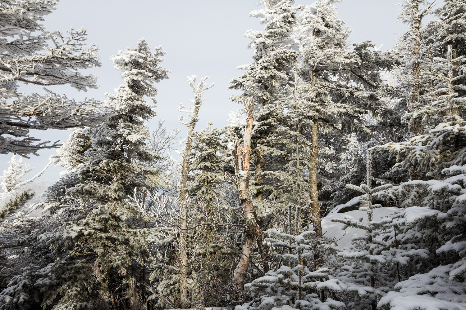 Lower Wolfjaw | Winter 2015