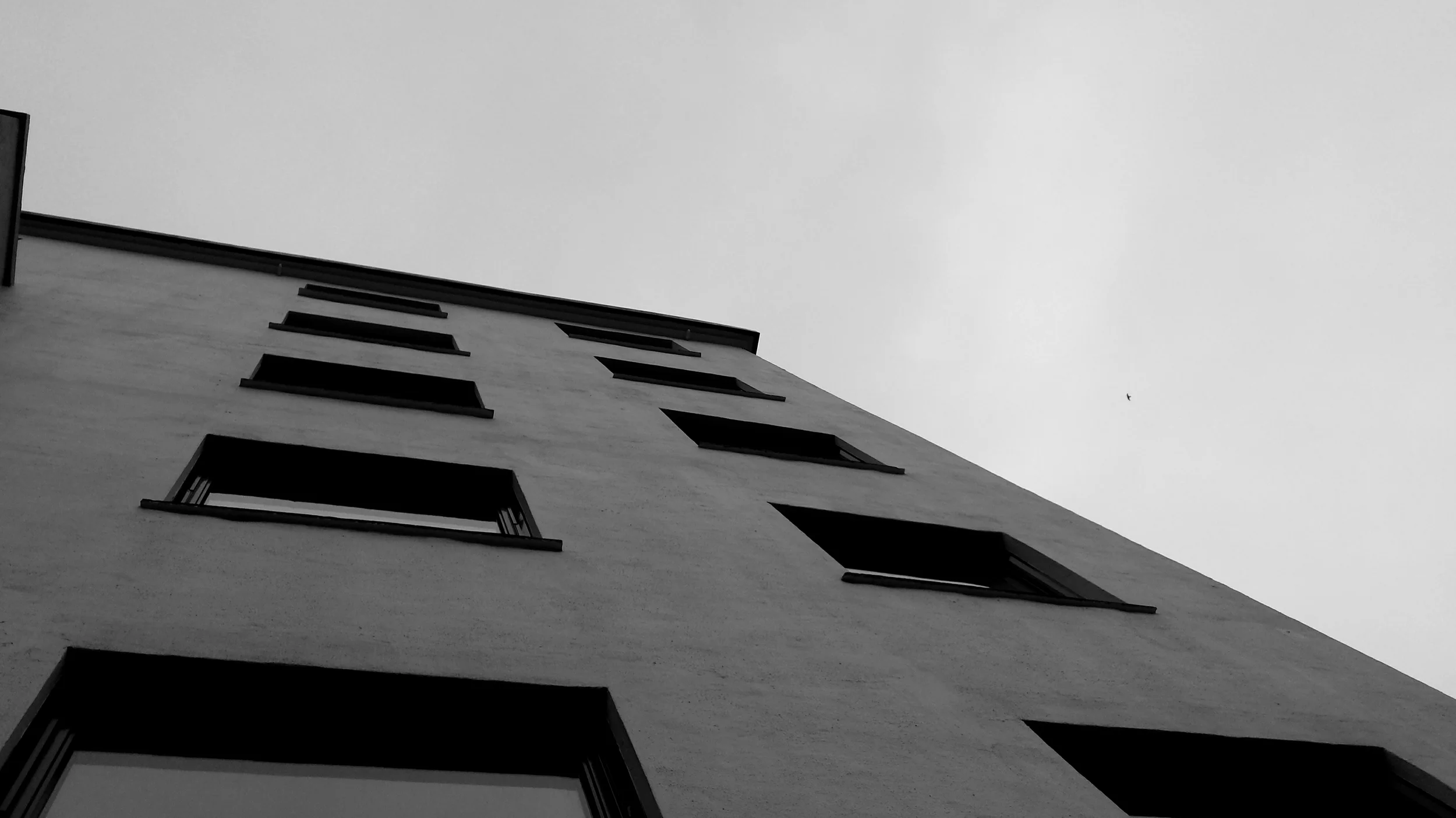 2014-01-26 12.19.15.jpg