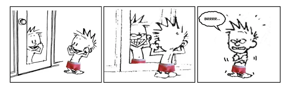 CALVIN vs. CALVIN KLEIN