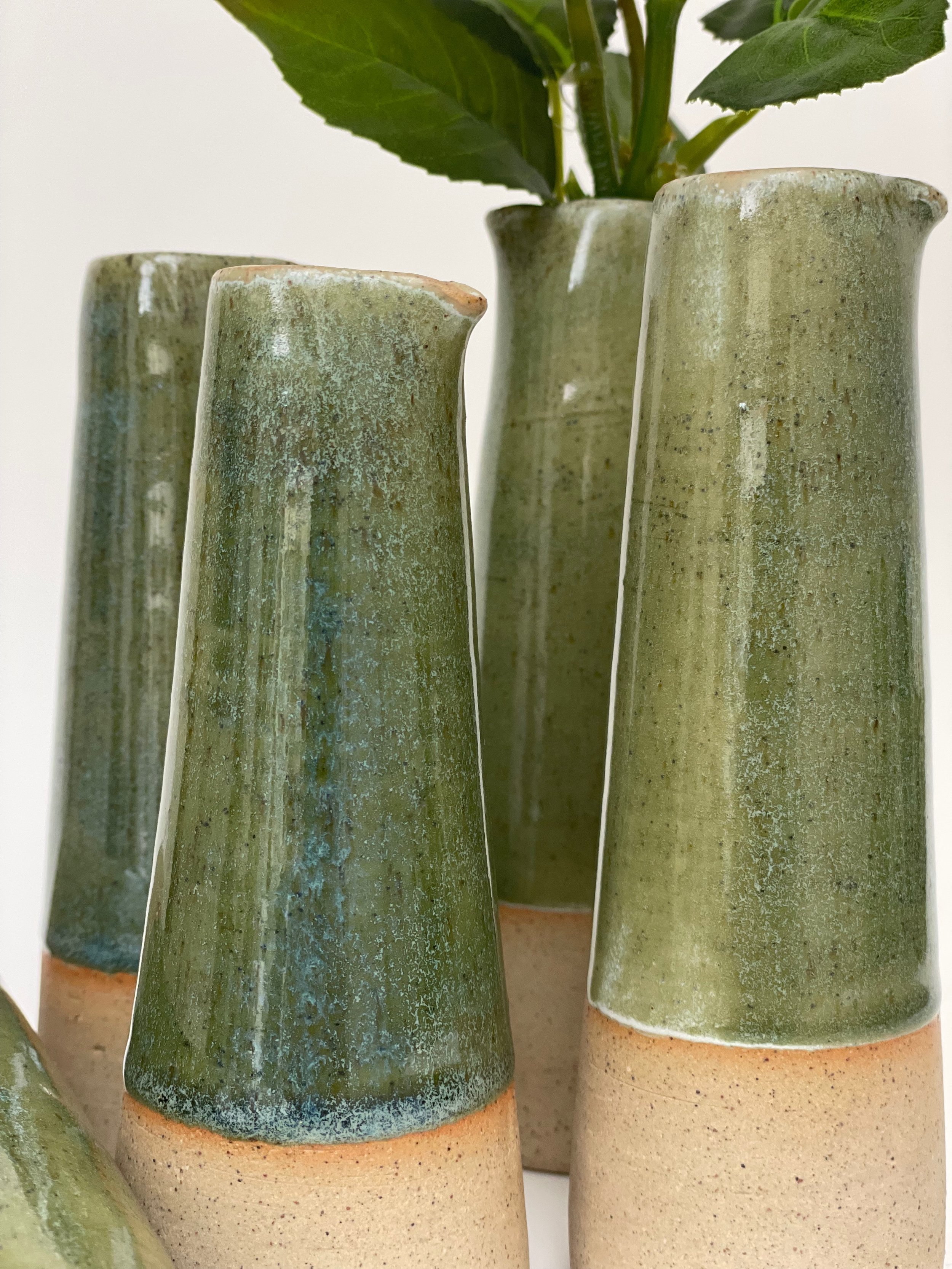 Recent - 6 of 18.jpeg