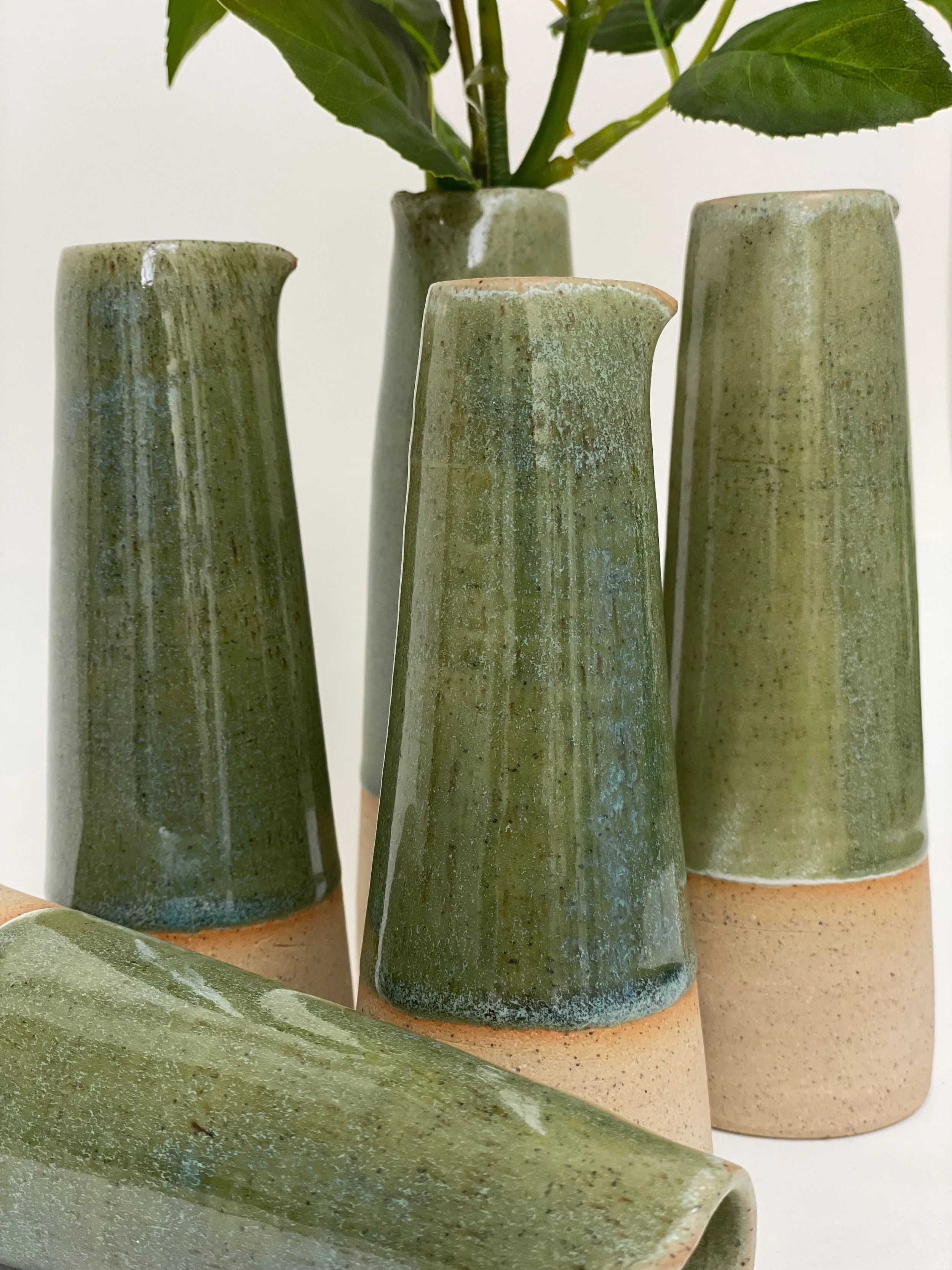 Recent - 7 of 18.jpeg