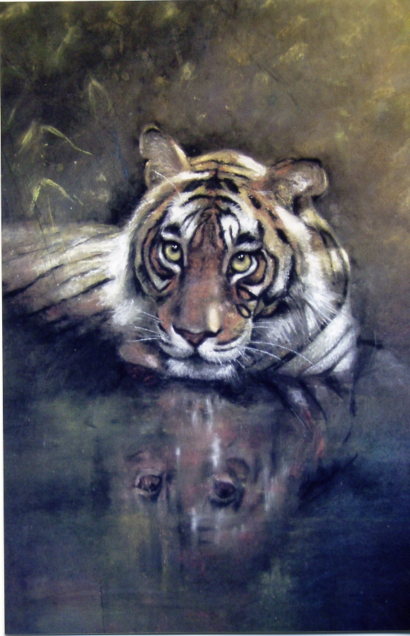 Tiger in Water