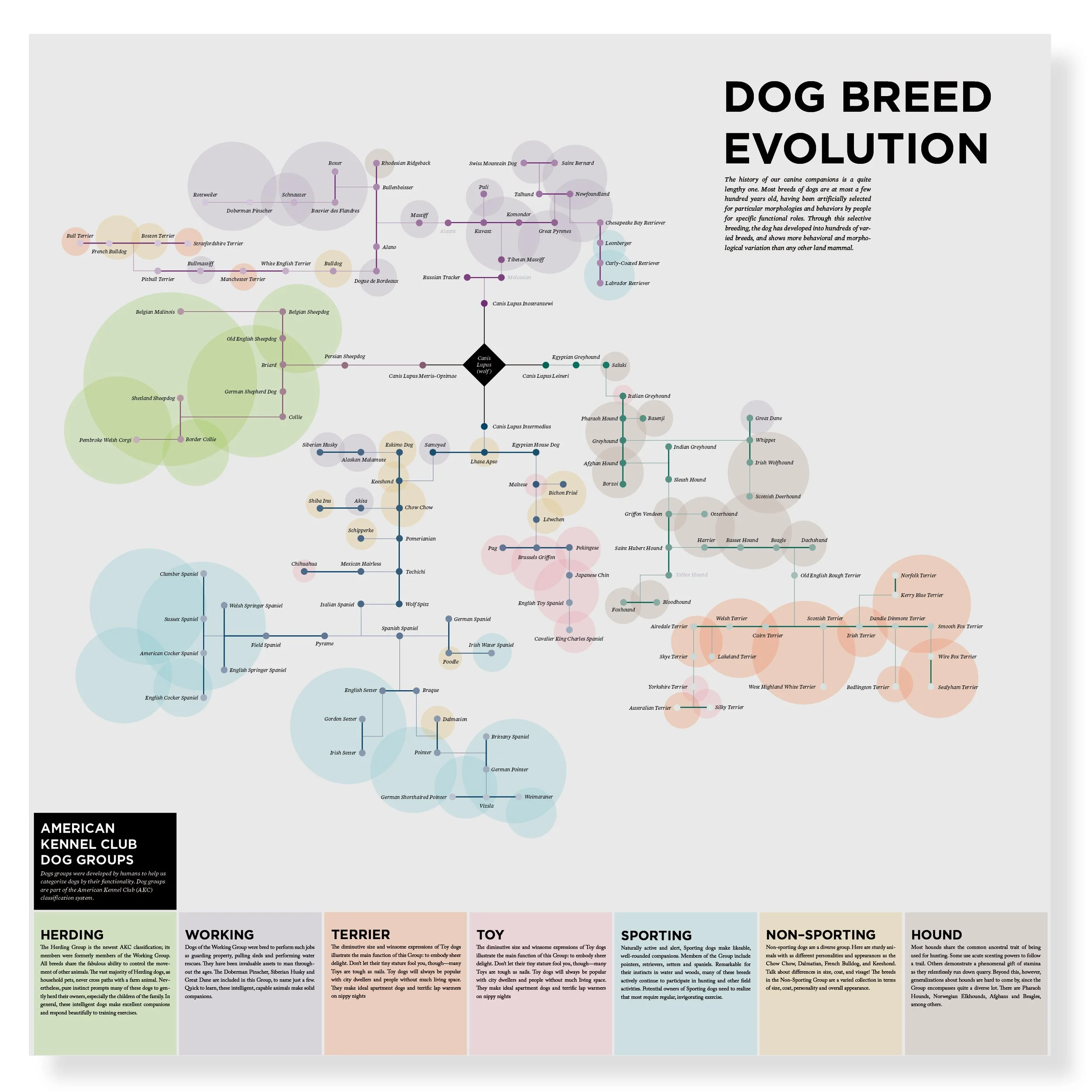 Concept Map — Mary