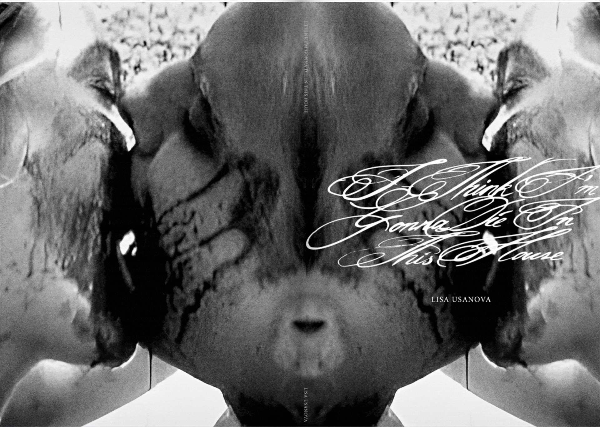  This collection examines how beauty and decay intertwine, revealing the grotesque and the dark as reflective truths and inviting a deeper engagement with the unsettling aspects of experience. 