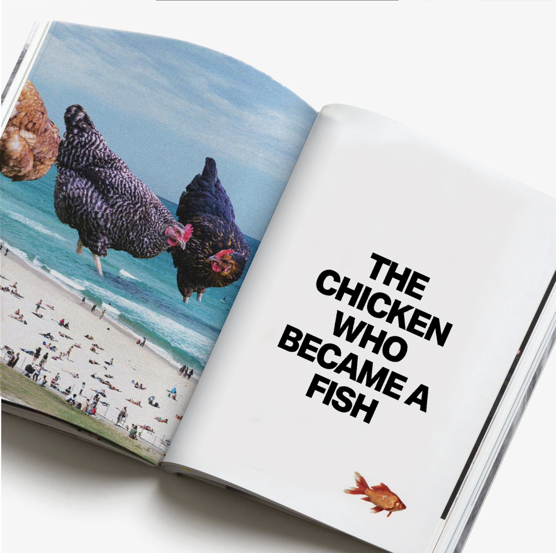  This book reflects the many forces—big and small—that have guided taste, making, and the ways ideas, objects, and moments come together. 