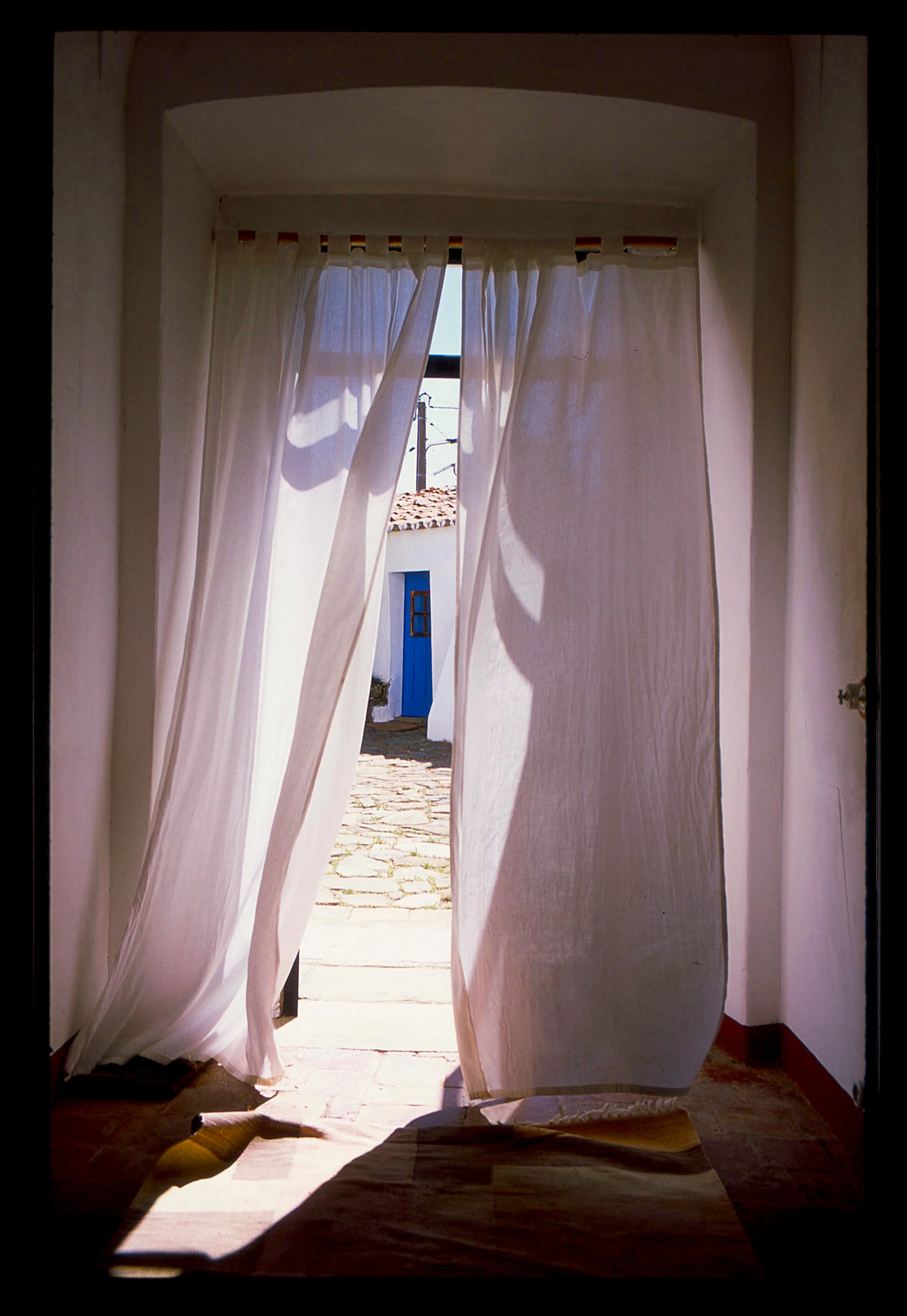 curtains popping.jpg
