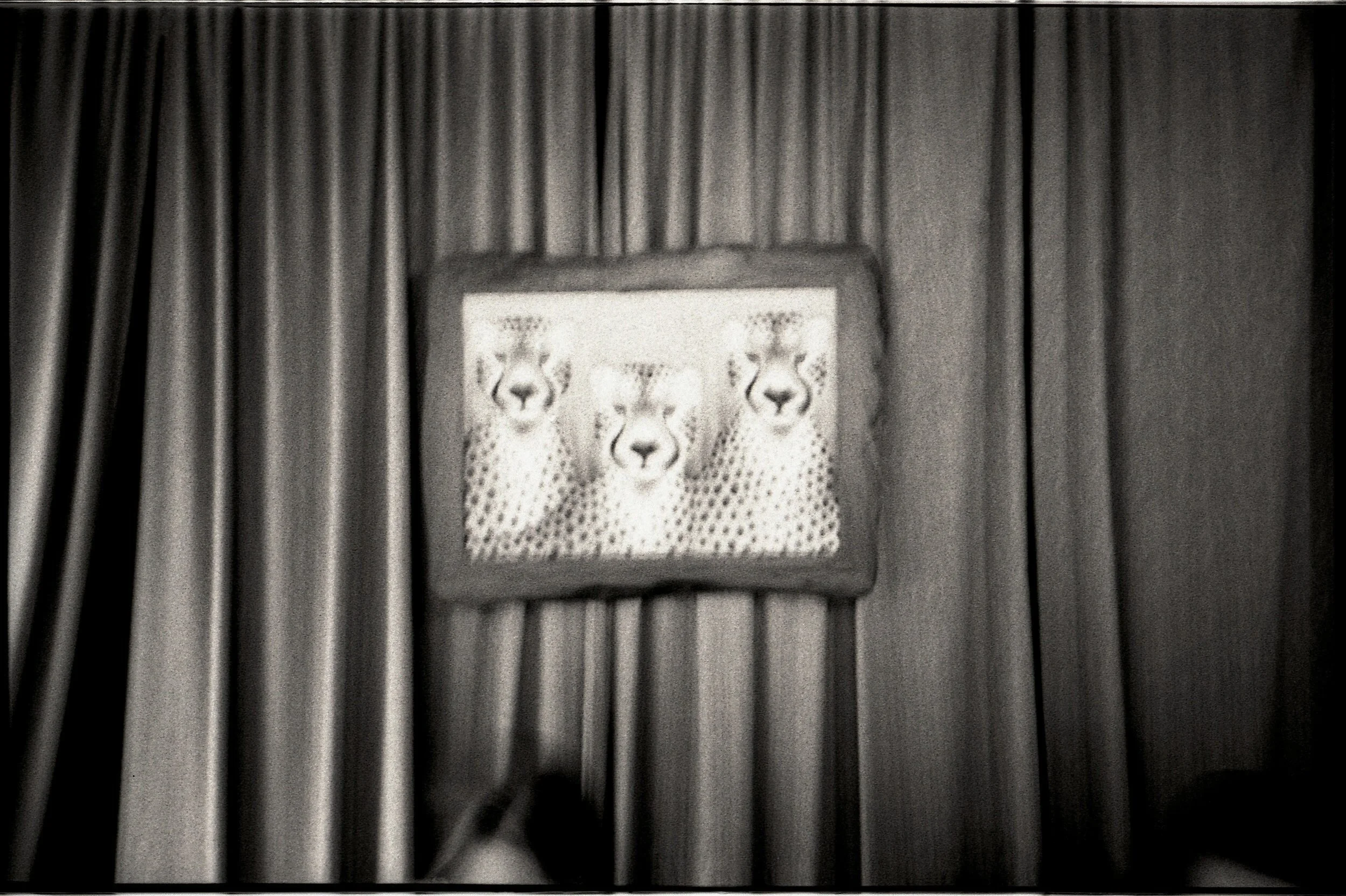 photobooth208+edit.jpg