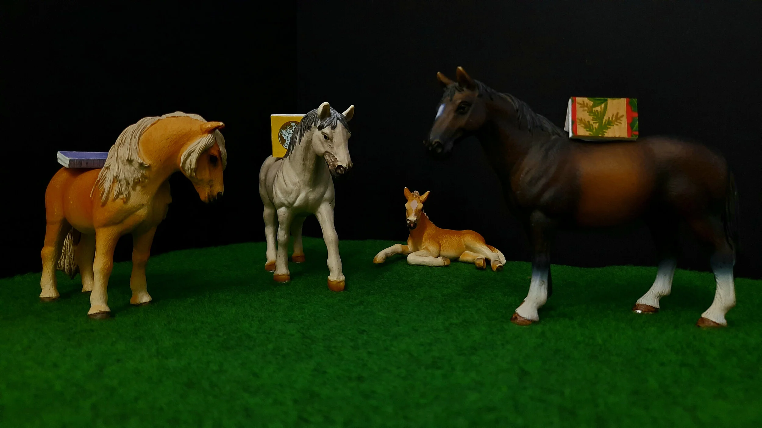 Three Books on Horseback, 2020