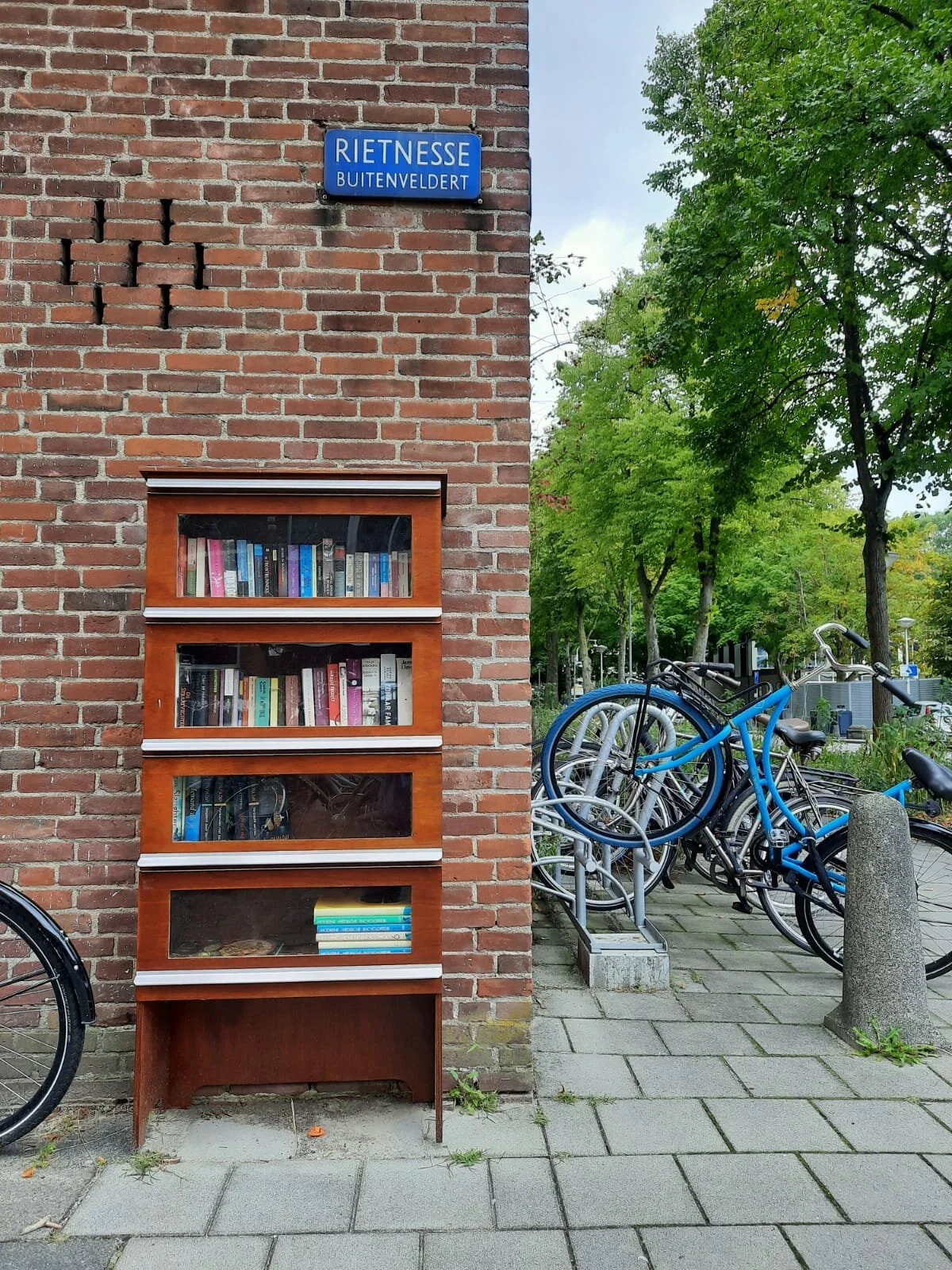 Rietnesse hoek Zeelandstraat (Buitenveldert)