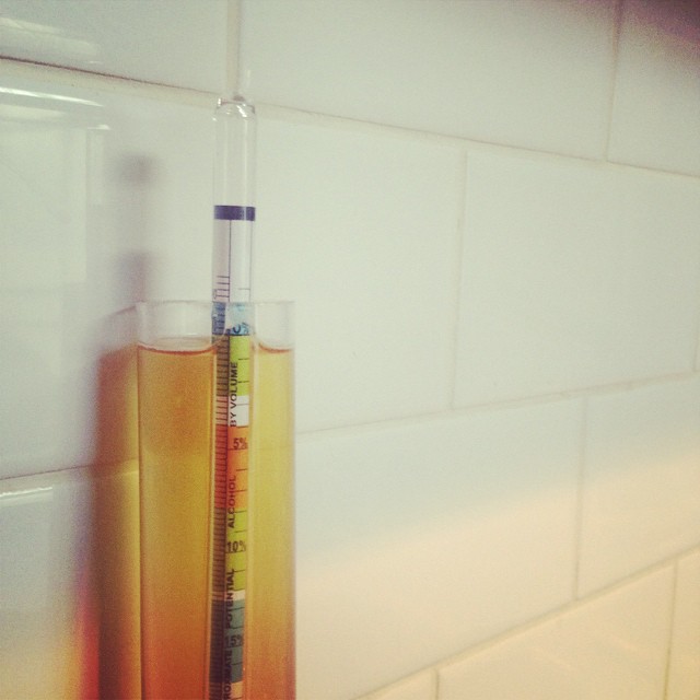 Full Swing Ahead A final gravity reading on our bohemian pilsner. This beer is in memory of Jay Johnson , and will be poured seasonally in his honor.