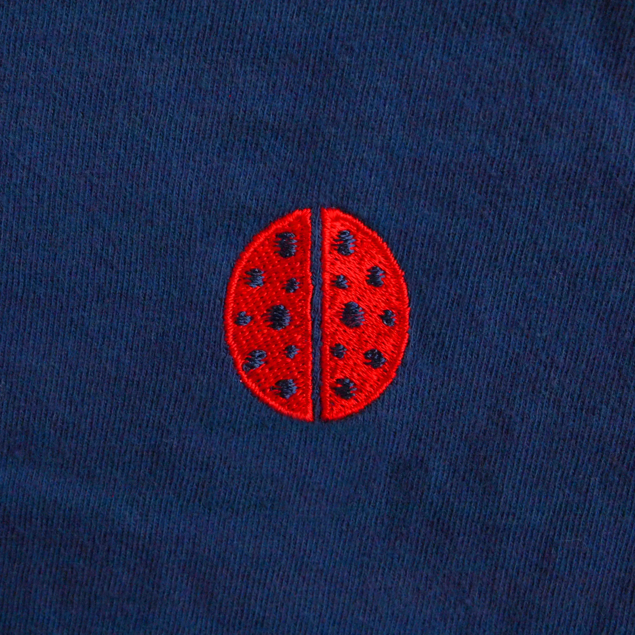 ladybugDangler_photo_artwork_squared.jpg