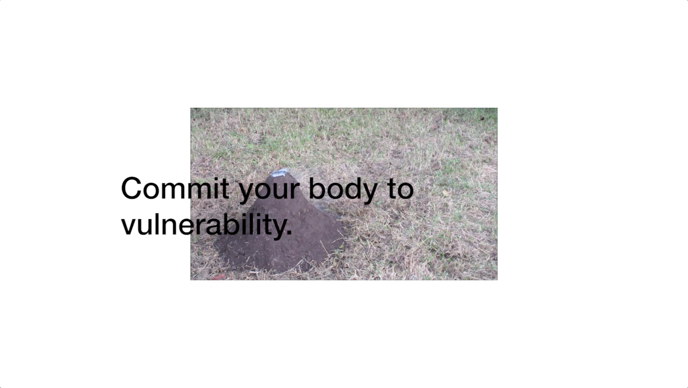 Haberstroh_Activity_SS6.png
