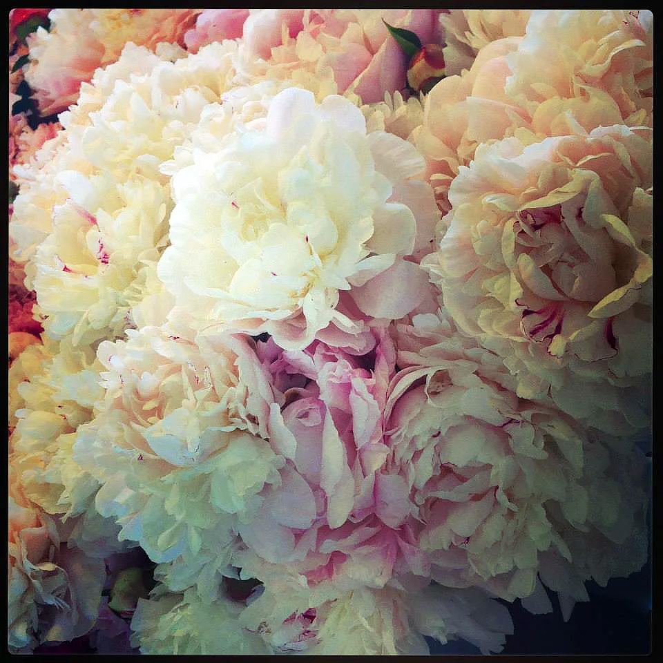 Pastel