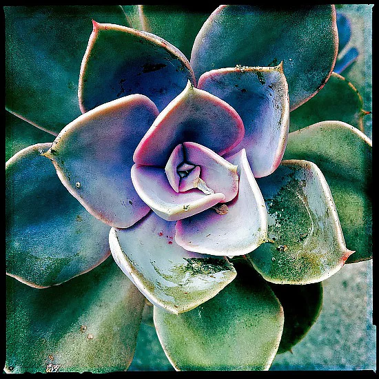 Weathered