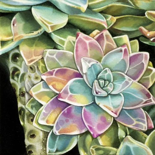 Cacti 1 Watercolor and gouache on board 2" x 2" in. (5 x 5 cm) 2005
