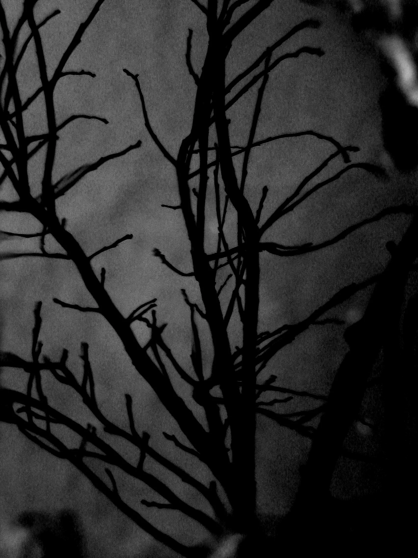 Light and Shadow
