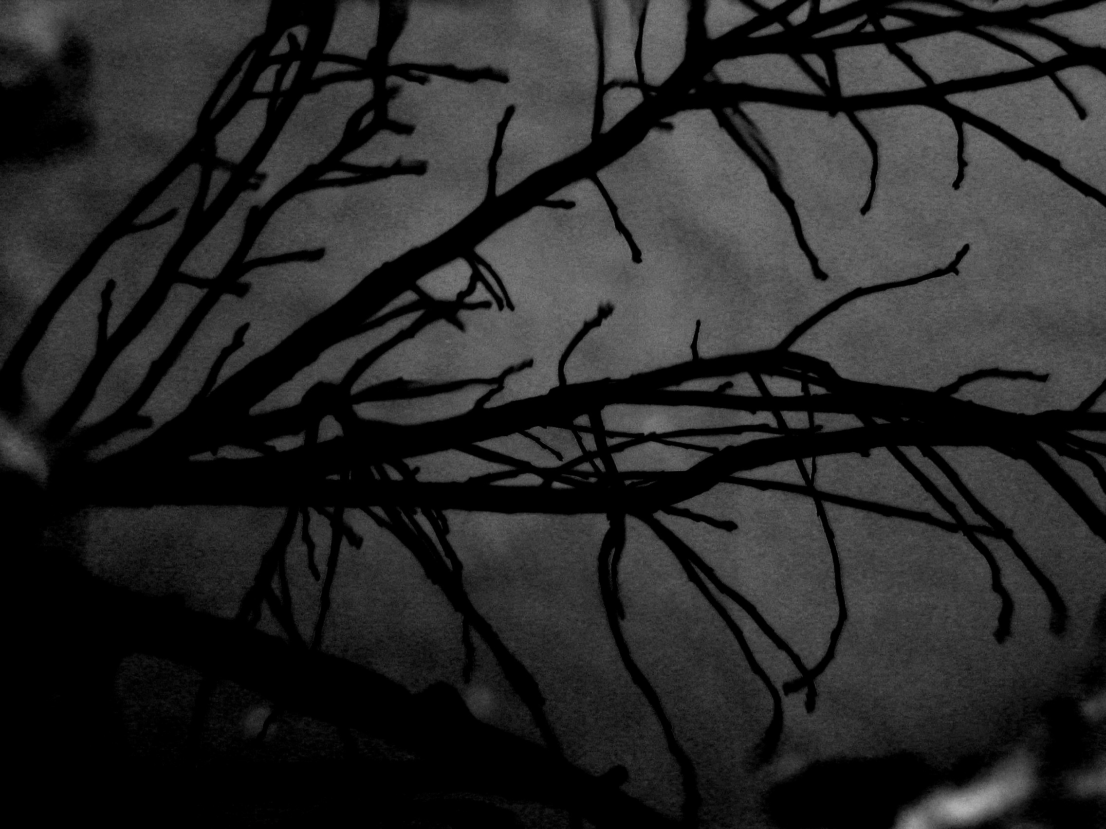 Light and Shadow