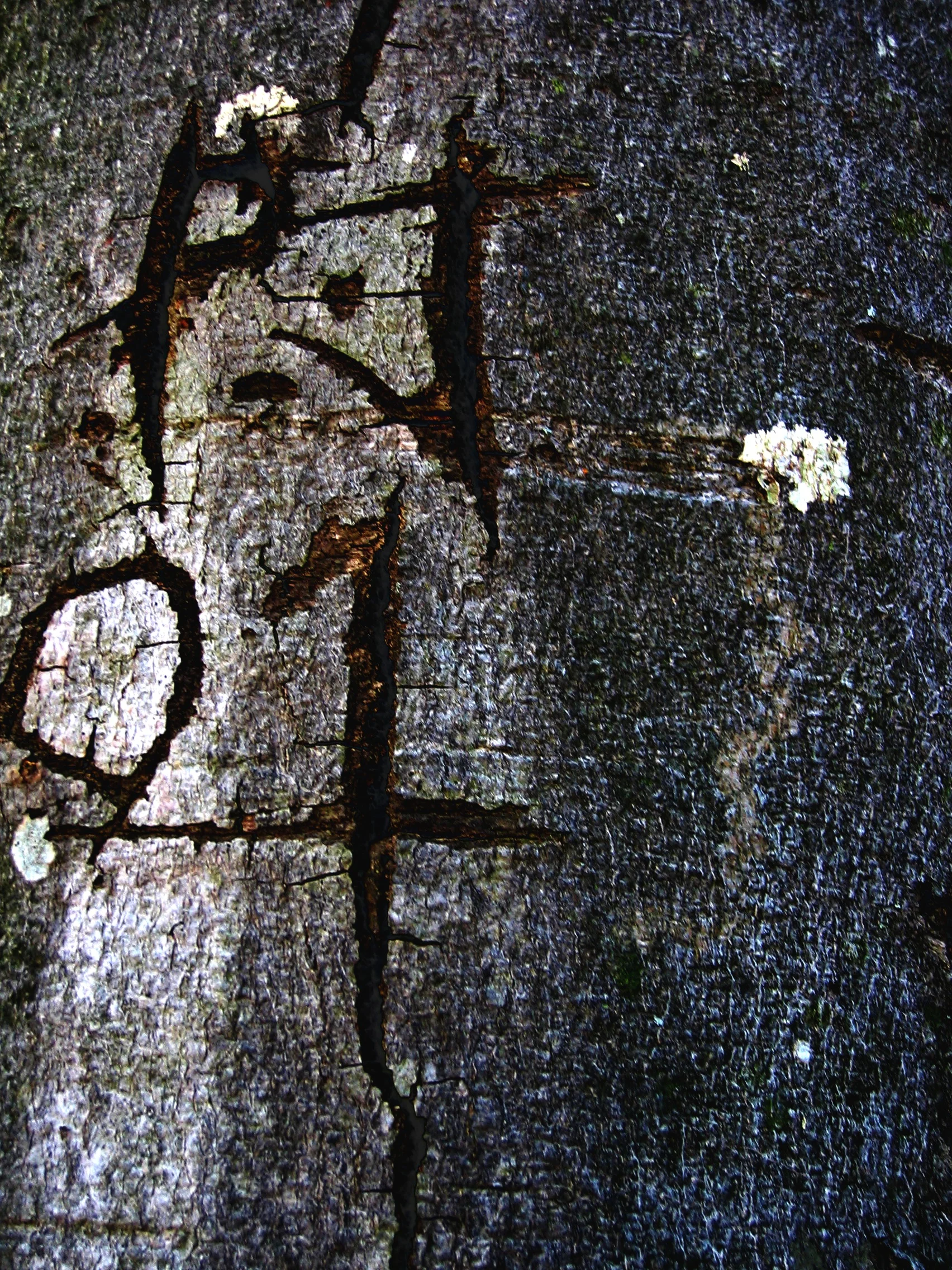 Markings
