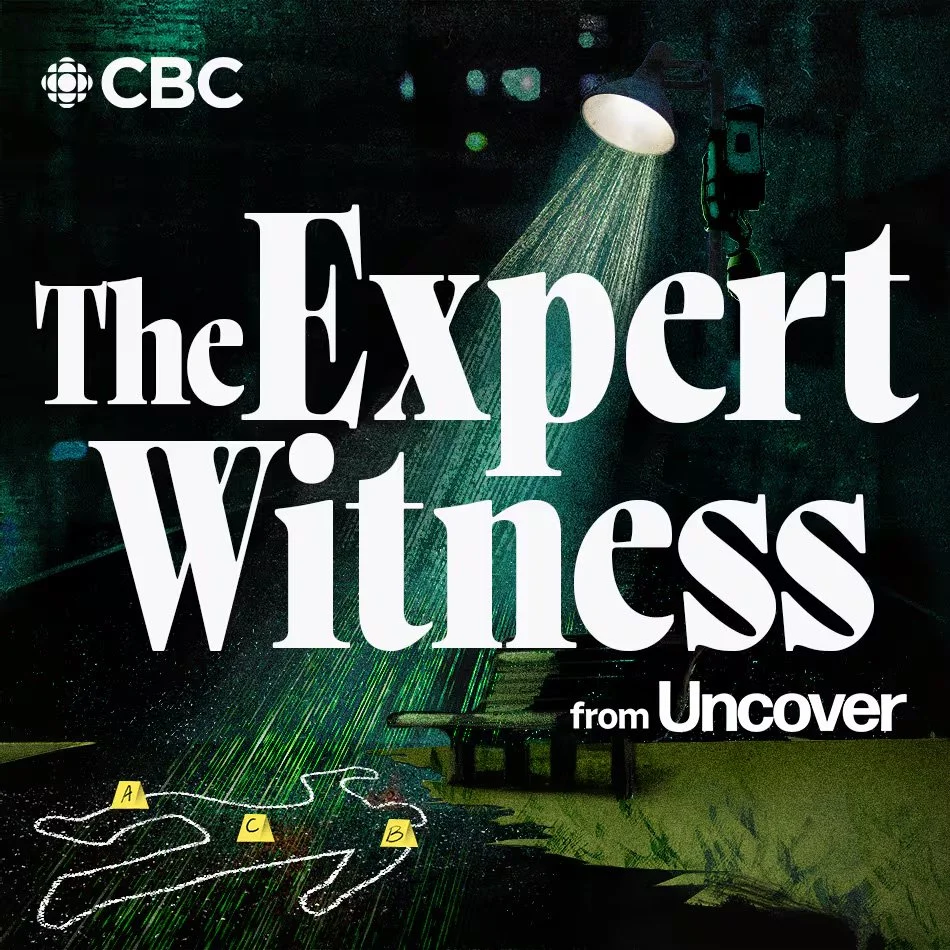Expert Witness Cover Art