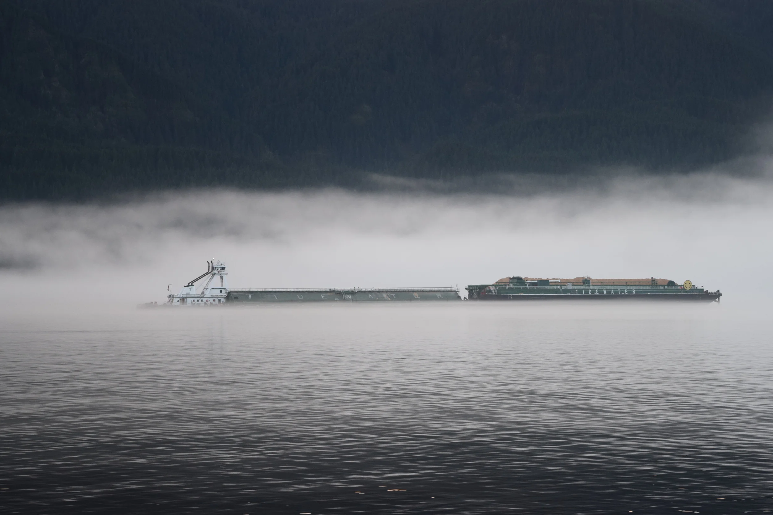 2015 JAN 26 134 - Copy - Copy.JPG