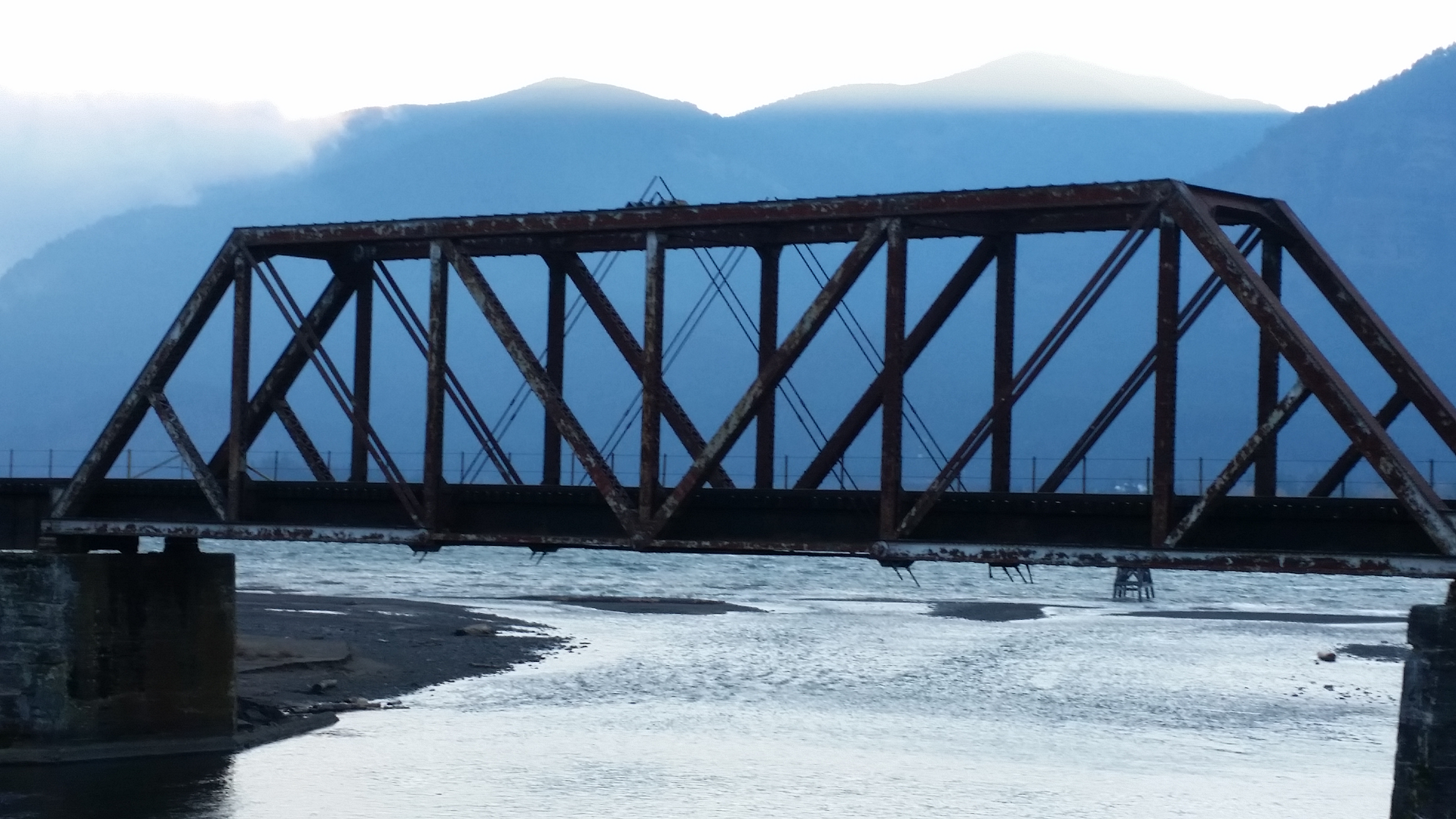 2015 NOV 24 CELL 072 2500pixels.Bridge.Support.png